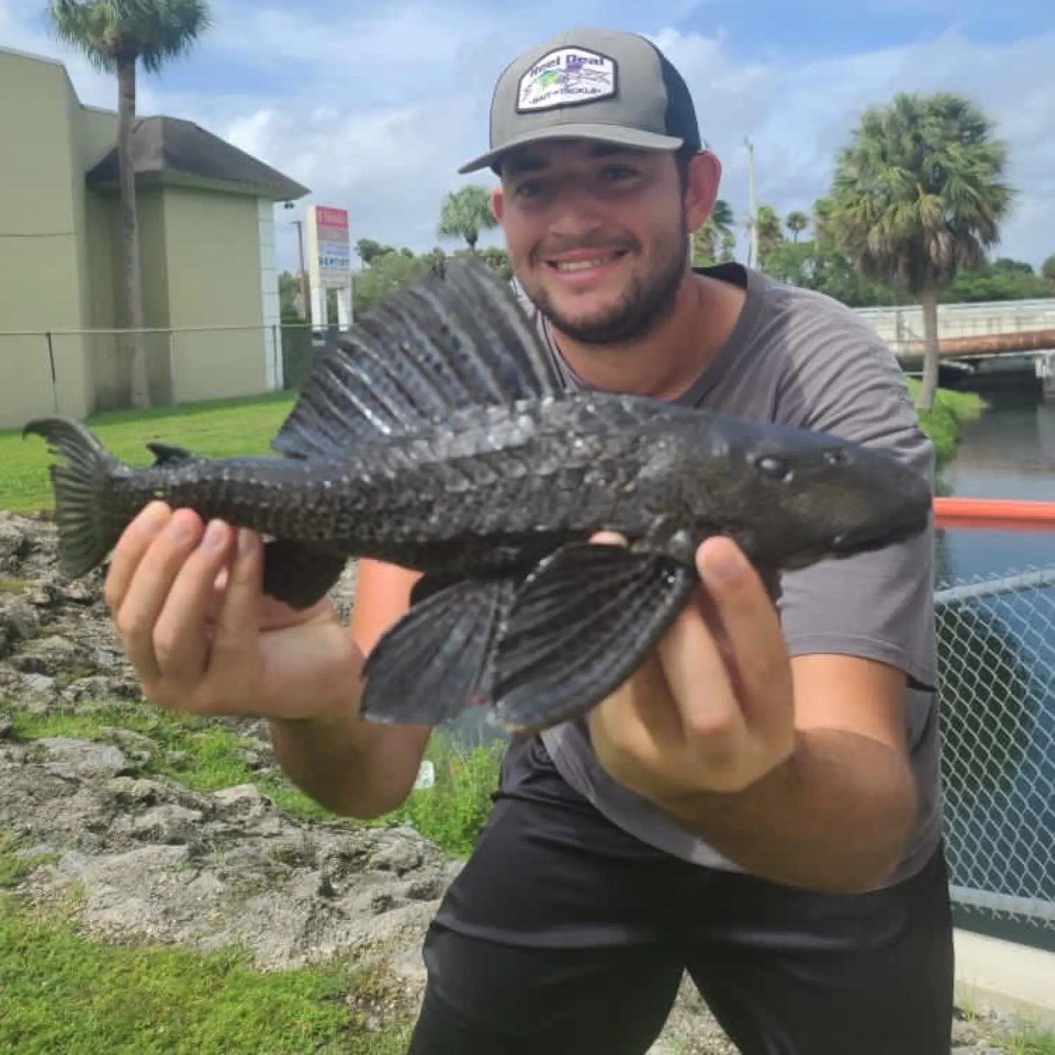 The most recent Amazon sailfin catfish catches on Fishbrain