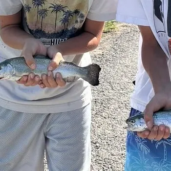 Rainbow trout caught on Fishbrain