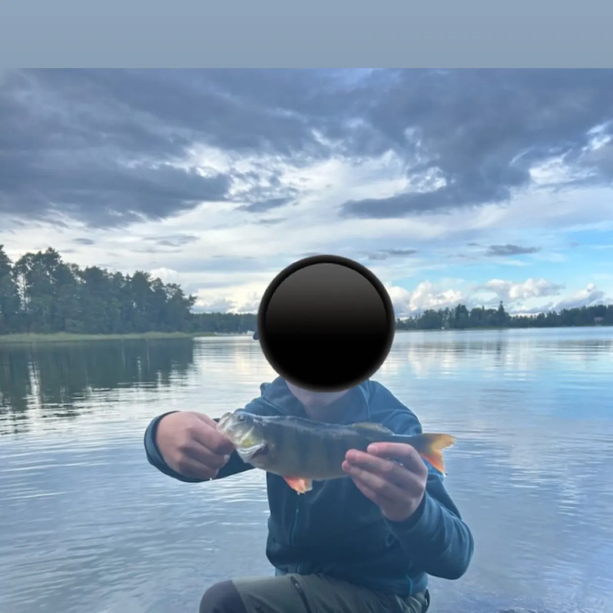 European perch caught on Fishbrain