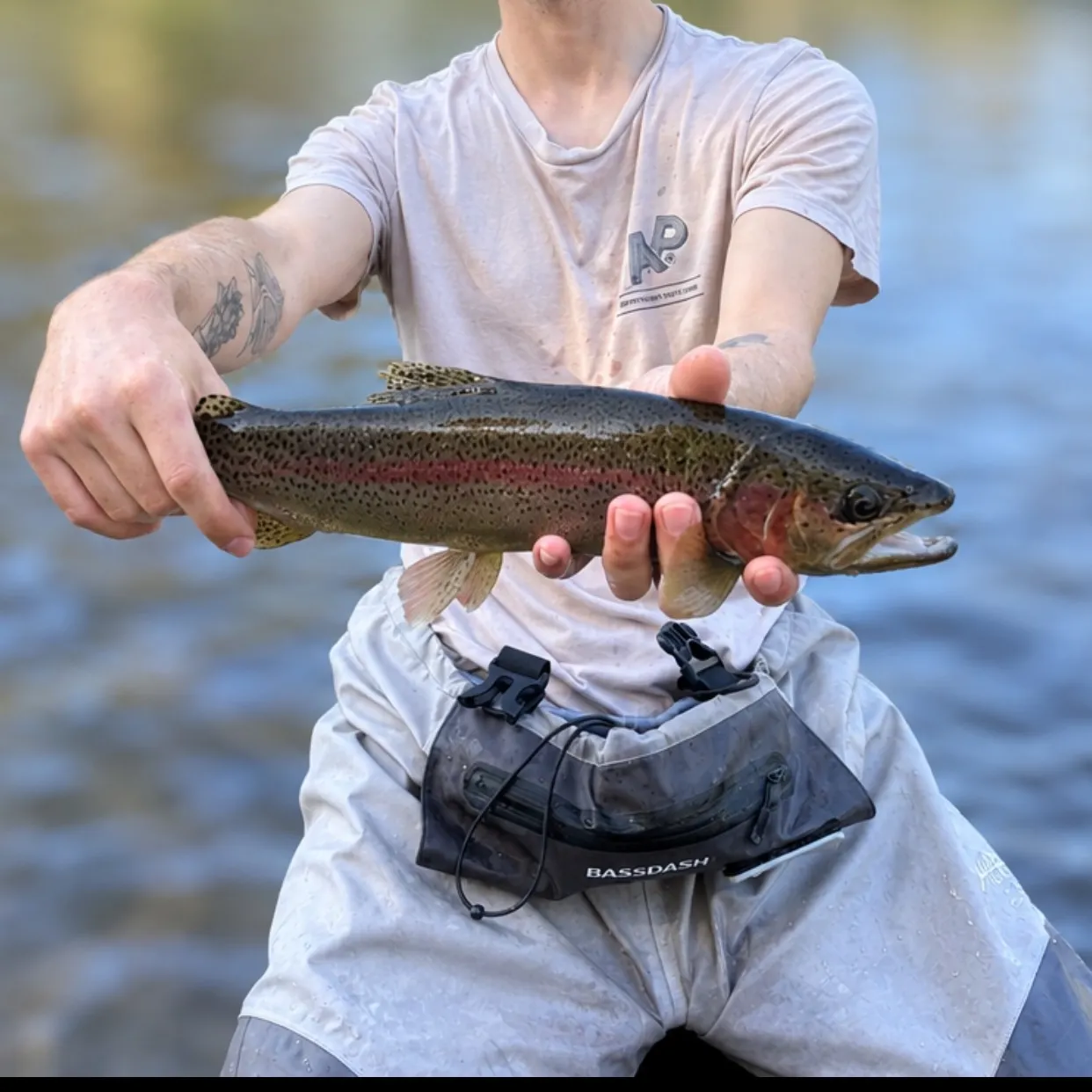Rainbow trout caught on Fishbrain