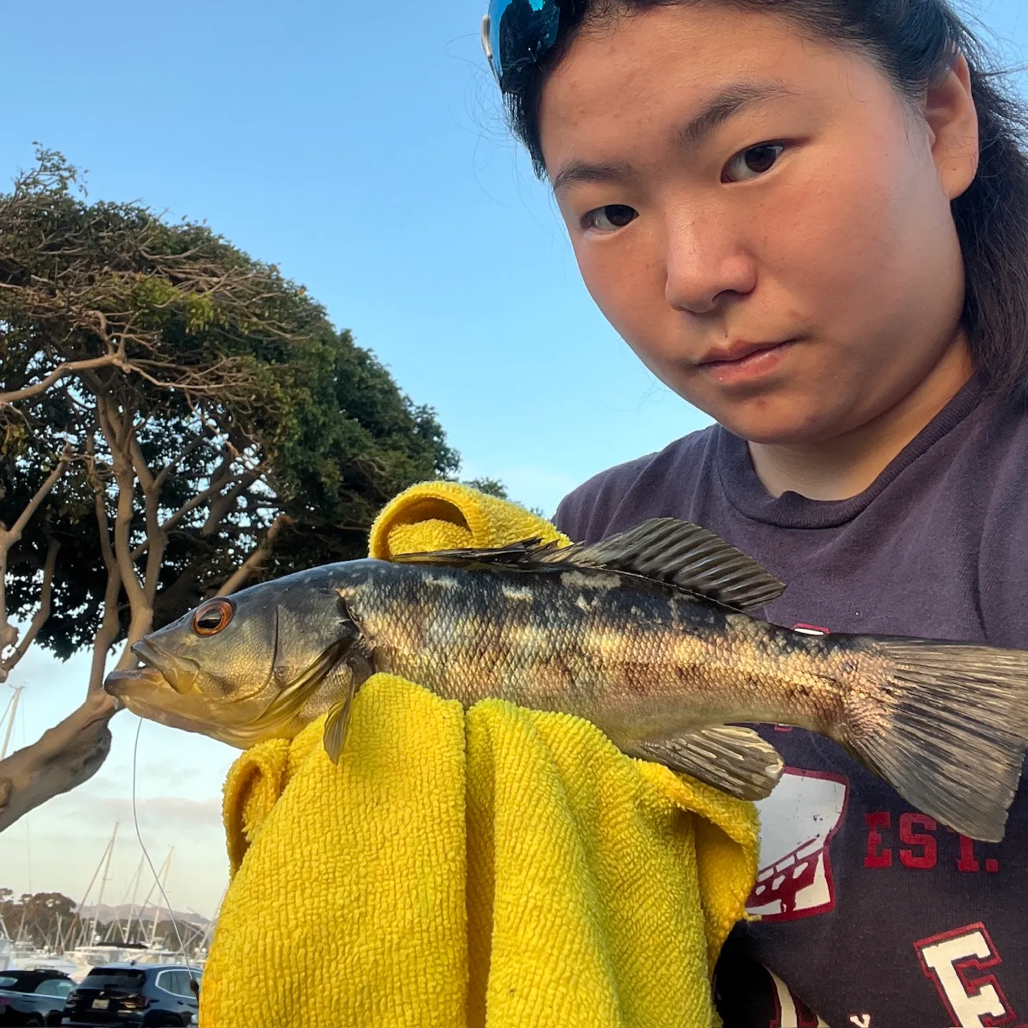 catch