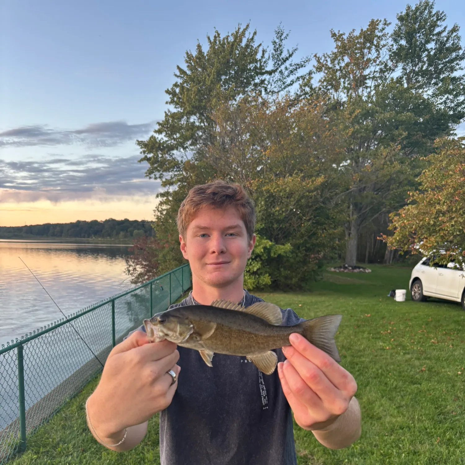 Smallmouth bass caught on Fishbrain
