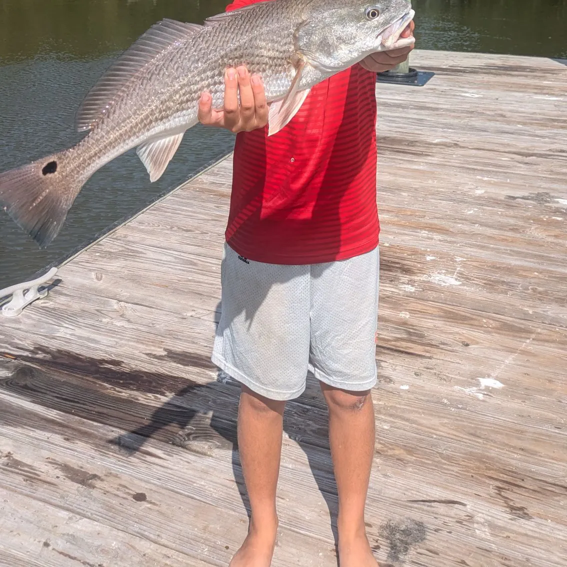 Fish caught on Fishbrain
