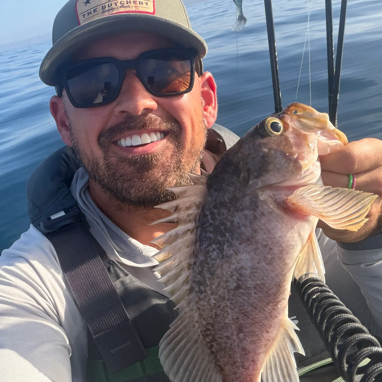 The most recent Kelp rockfish catches on Fishbrain