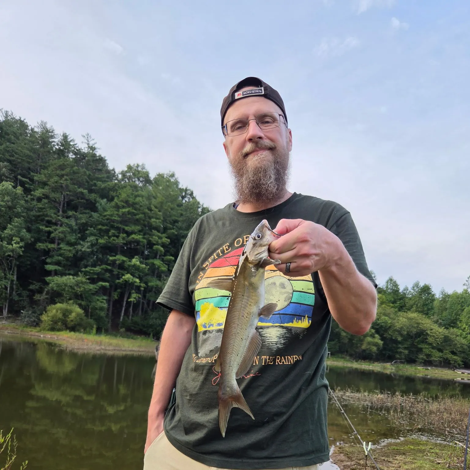 Channel catfish caught on Fishbrain