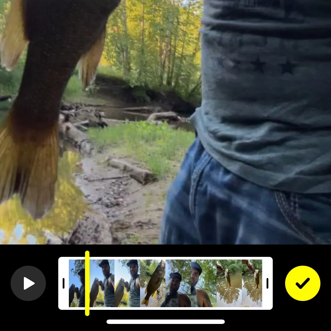 recently logged catches