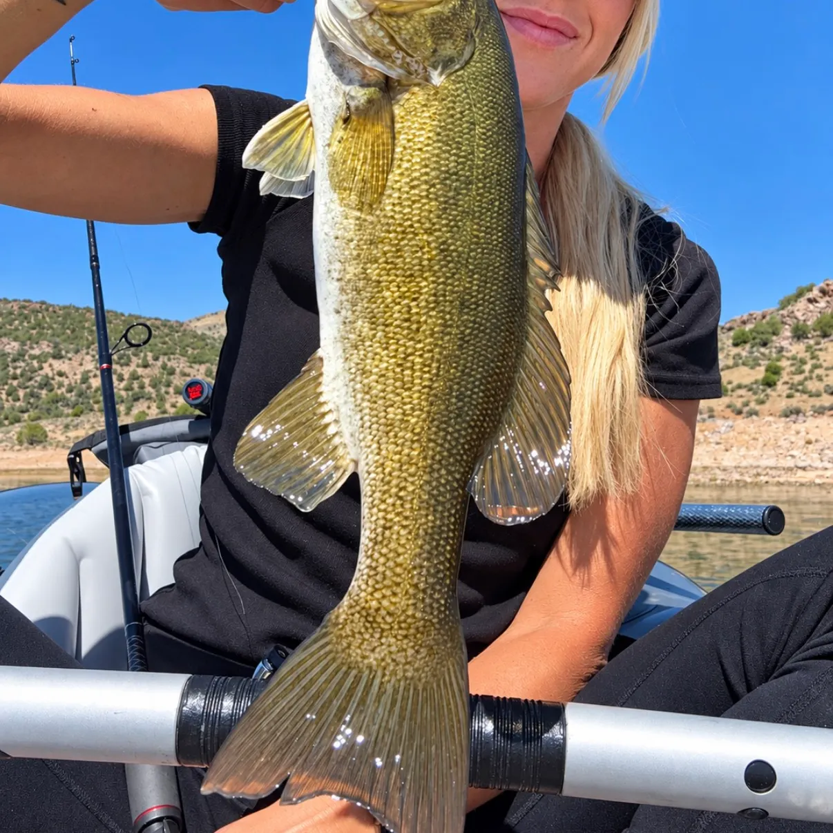 Smallmouth bass caught on Fishbrain