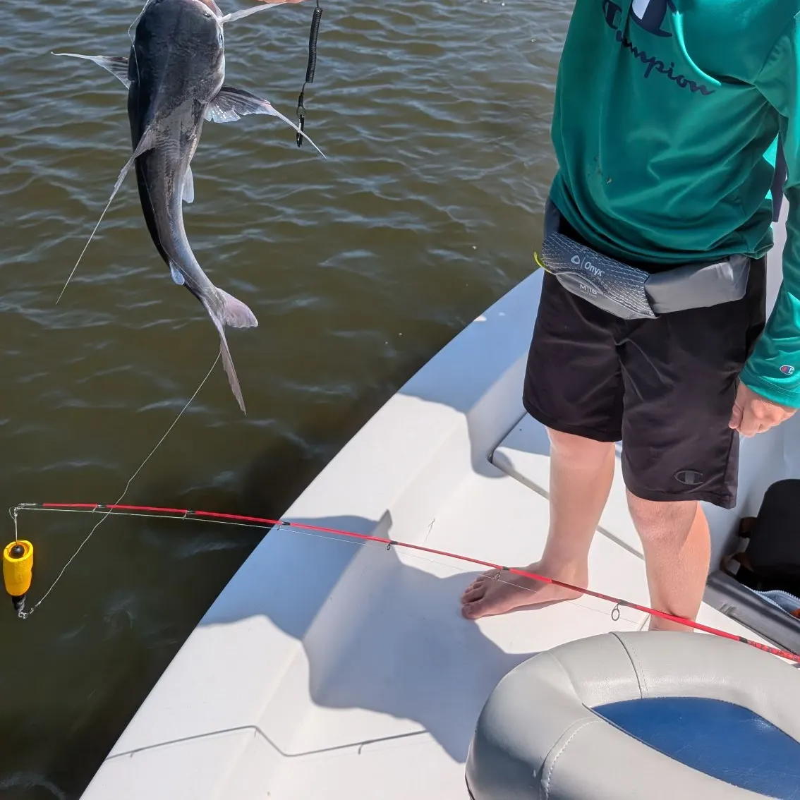 Atlantic stingray caught on Fishbrain