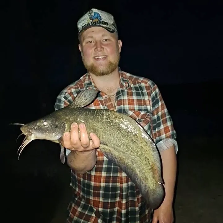 Dewfish caught on Fishbrain