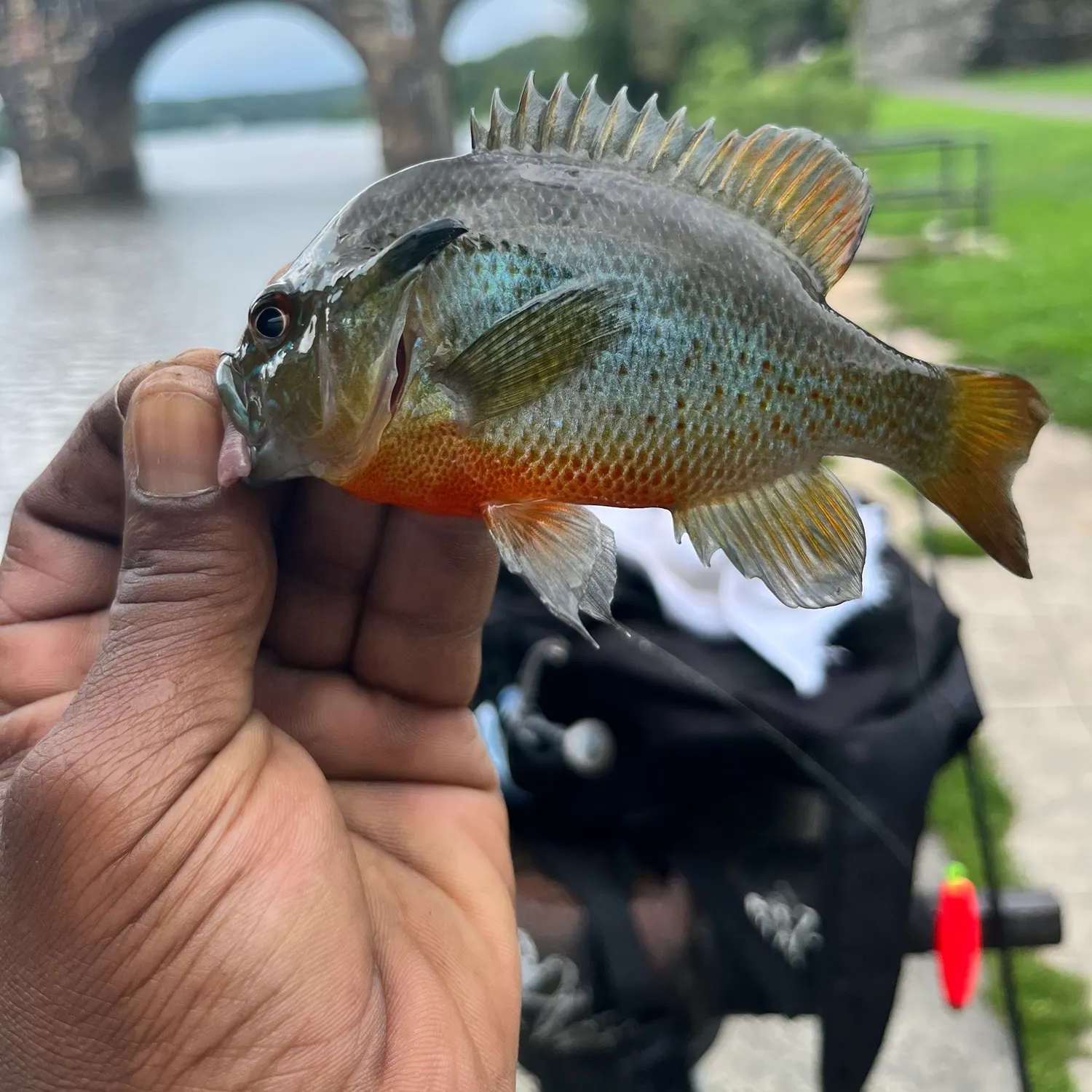 catch