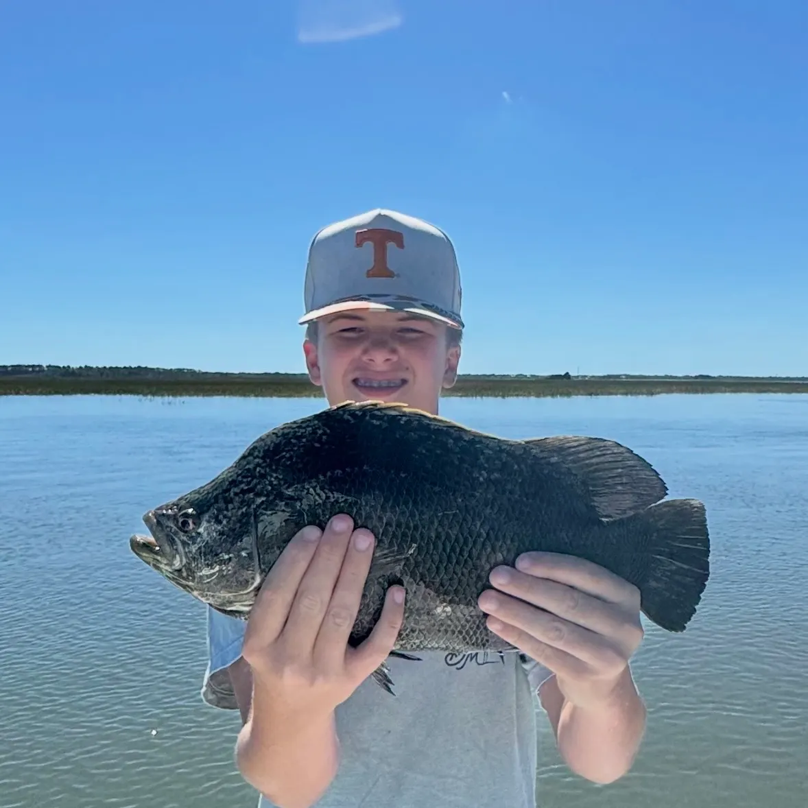 Atlantic tripletail caught on Fishbrain