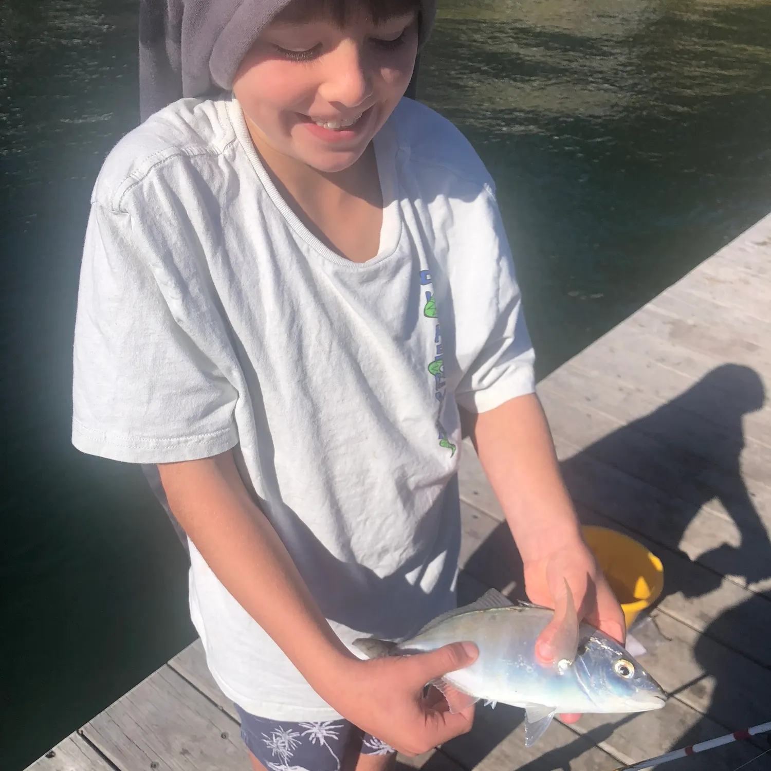 The most recent White trevally catches on Fishbrain