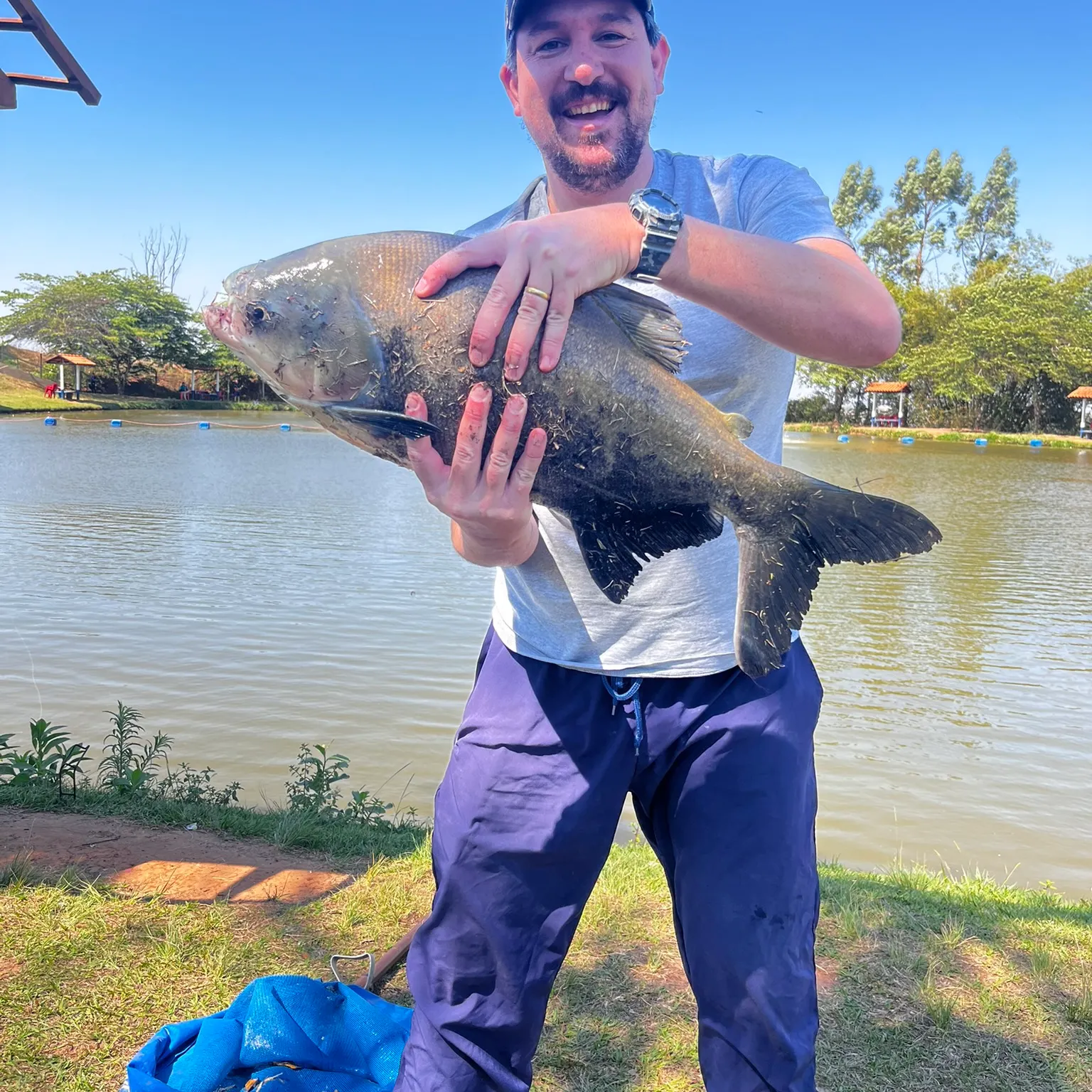 The most recent Tambacu catches on Fishbrain