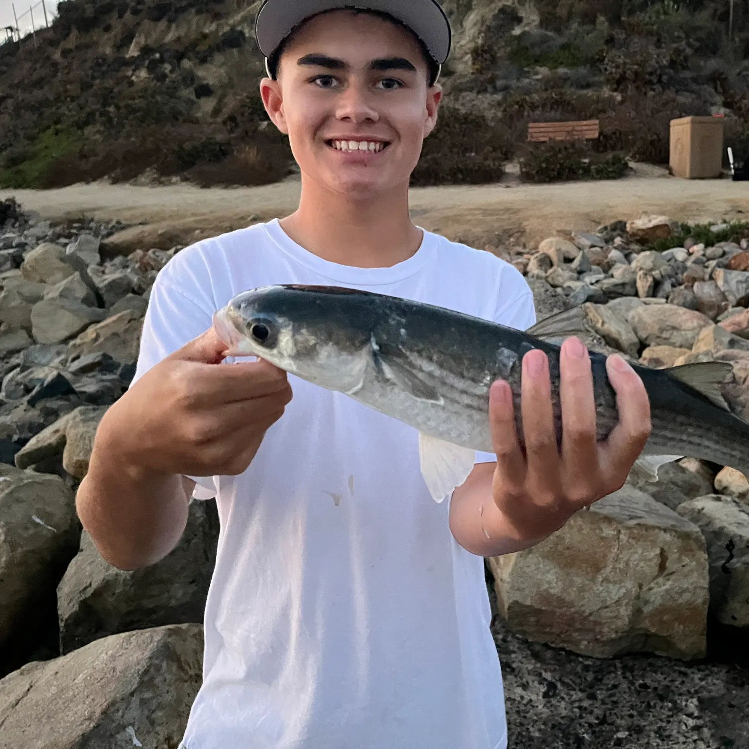 The most recent Striped mullet catches on Fishbrain