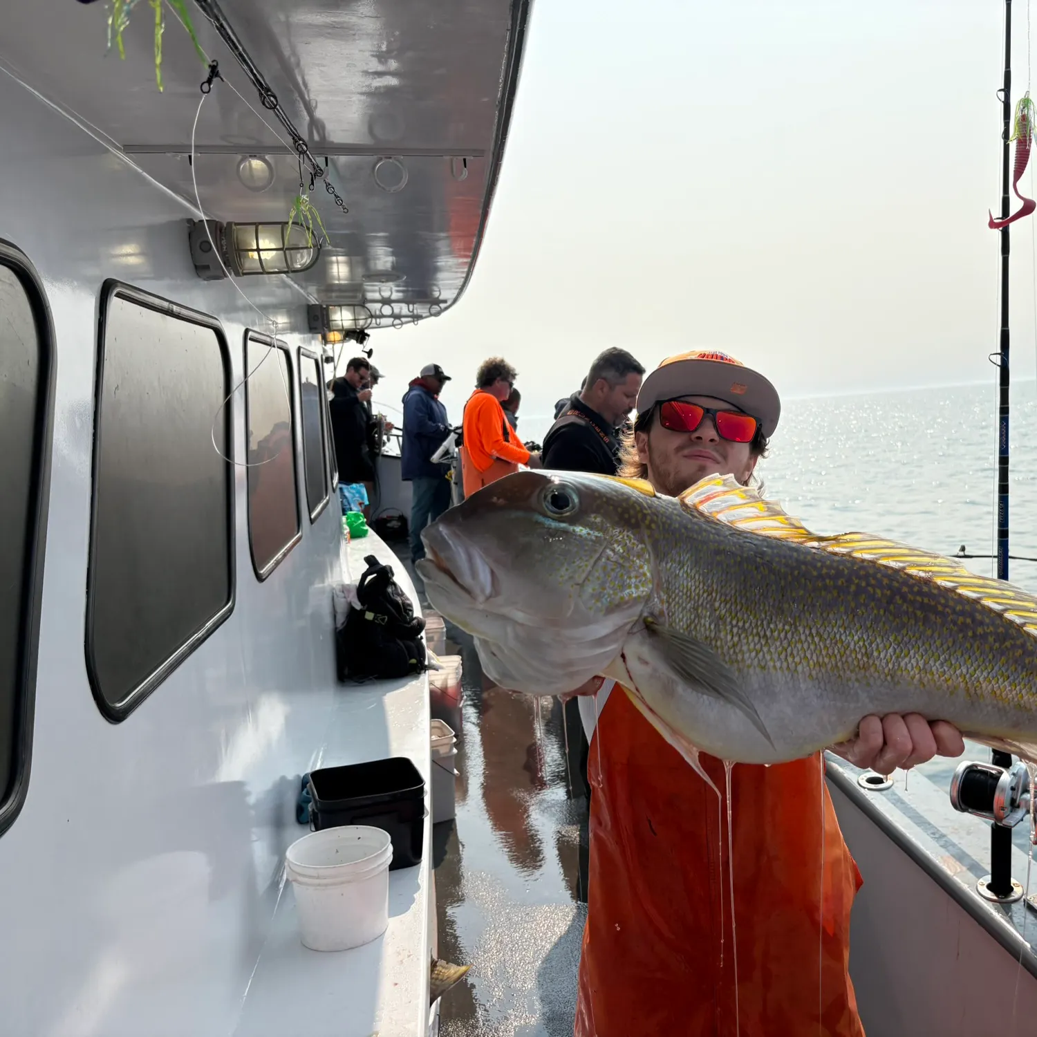 The most recent Great northern tilefish catches on Fishbrain