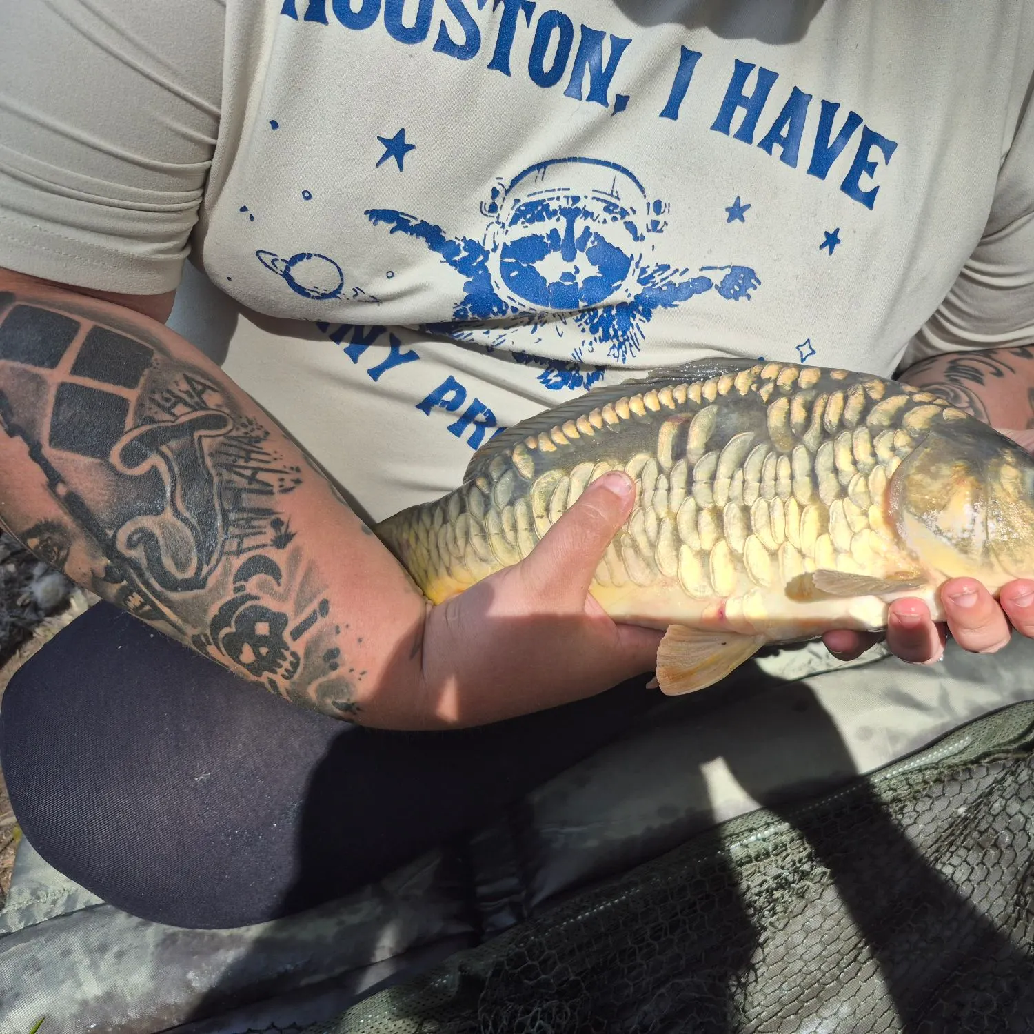 Mirror carp caught on Fishbrain