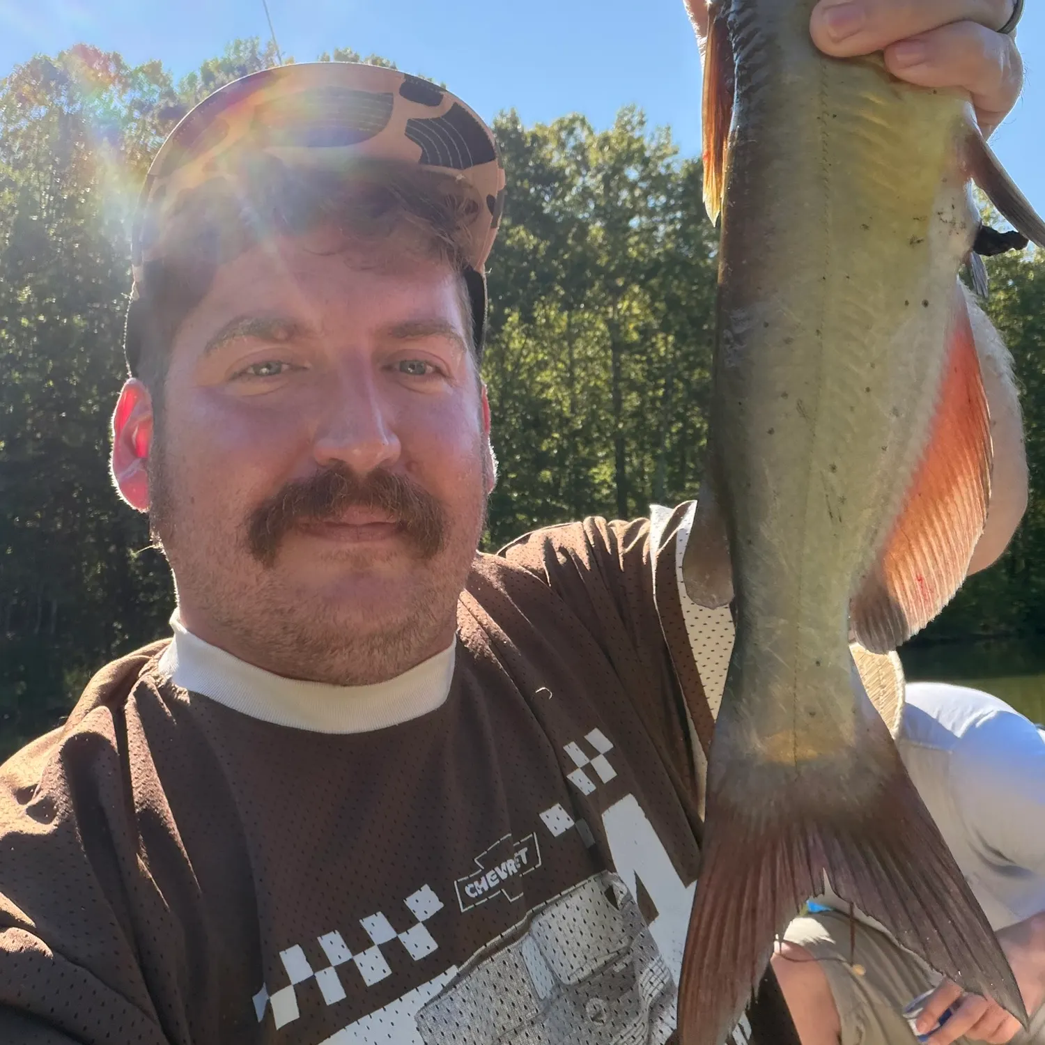 Channel catfish caught on Fishbrain