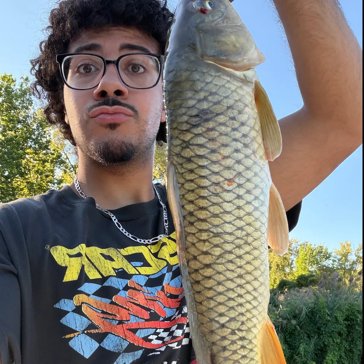 Common carp caught on Fishbrain
