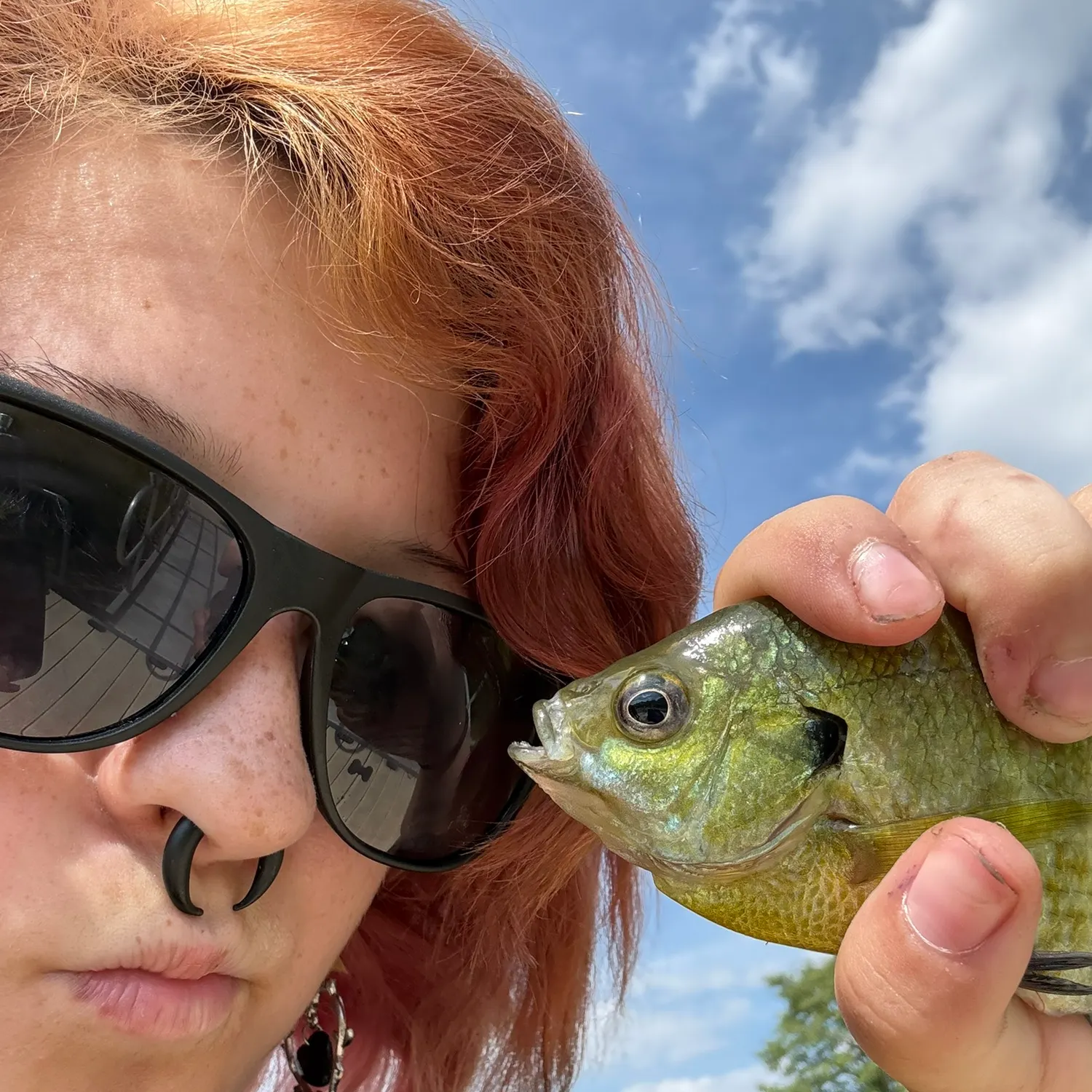 Bluegill caught on Fishbrain
