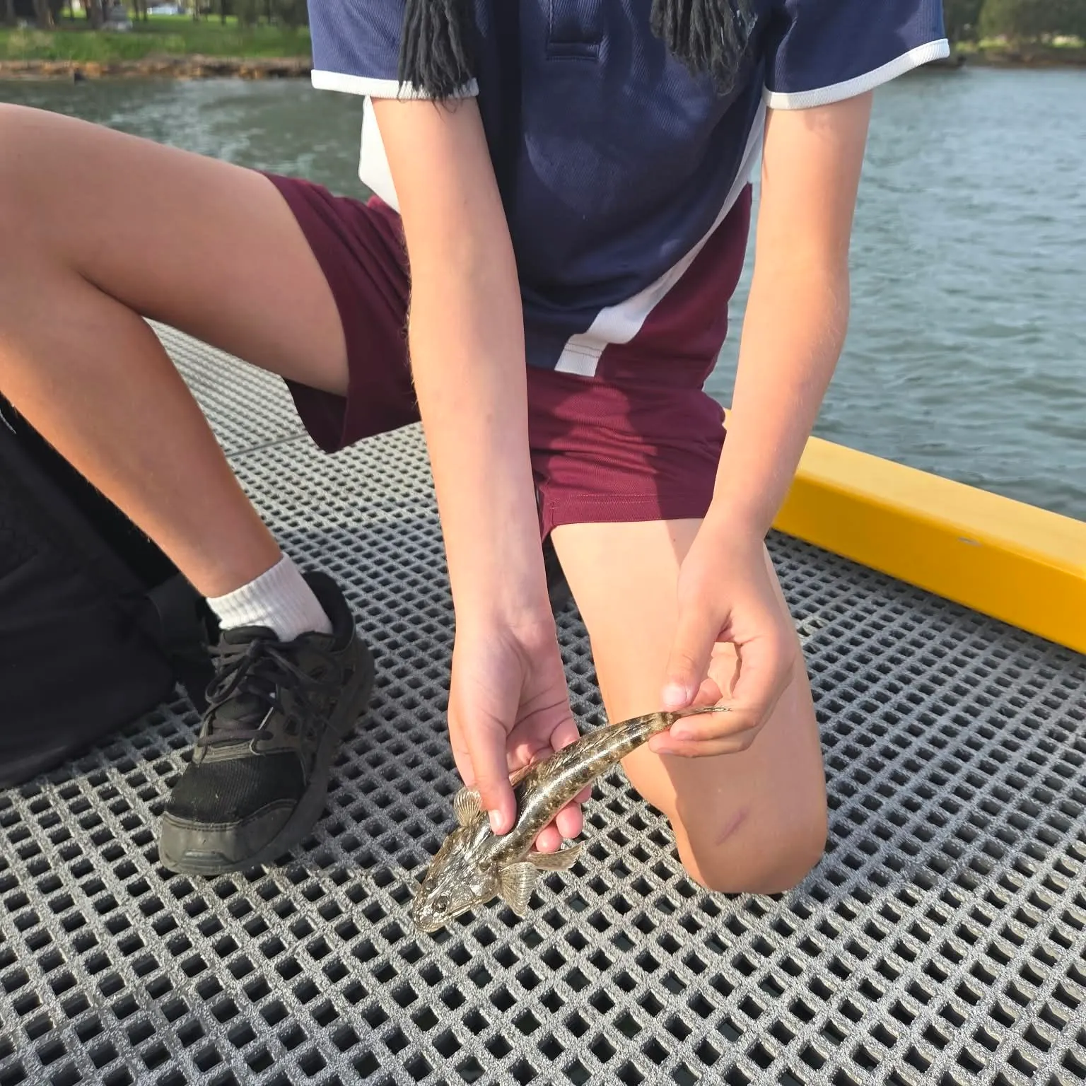 Dusky flathead caught on Fishbrain