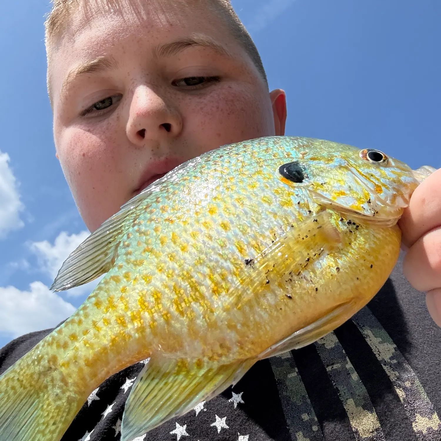 Orangespotted sunfish caught on Fishbrain