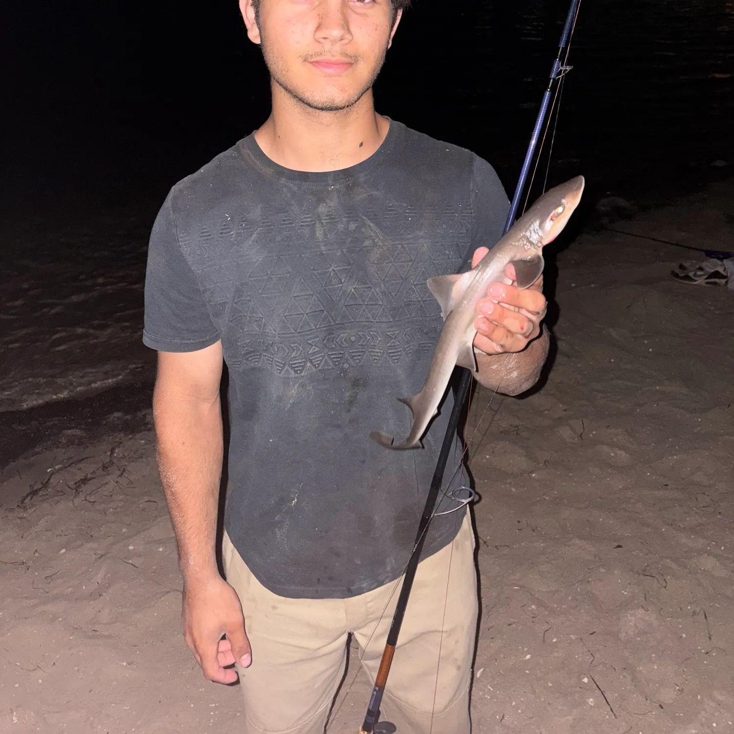 The most recent Grey smooth-hound catches on Fishbrain