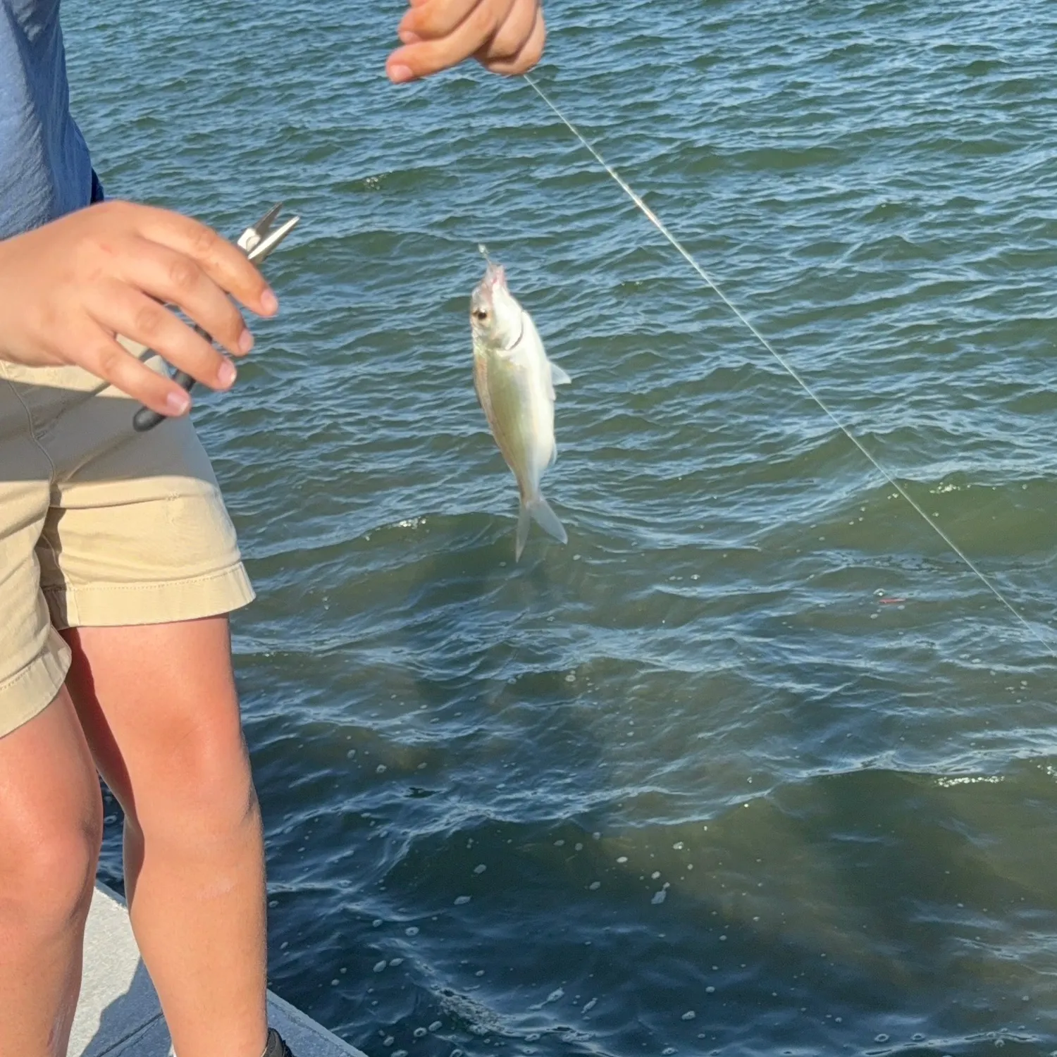 most liked catch image
