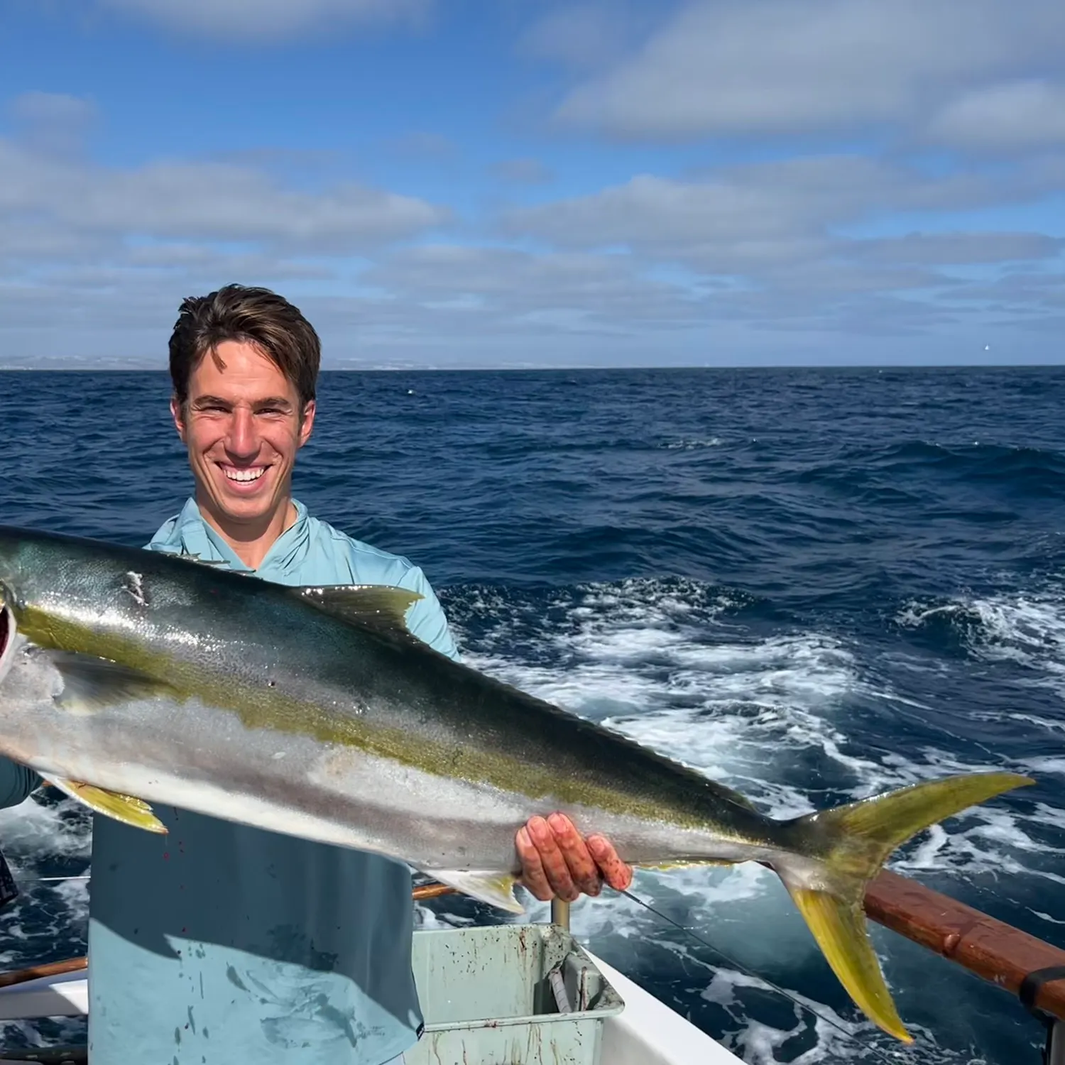 The most recent California yellowtail amberjack catches on Fishbrain