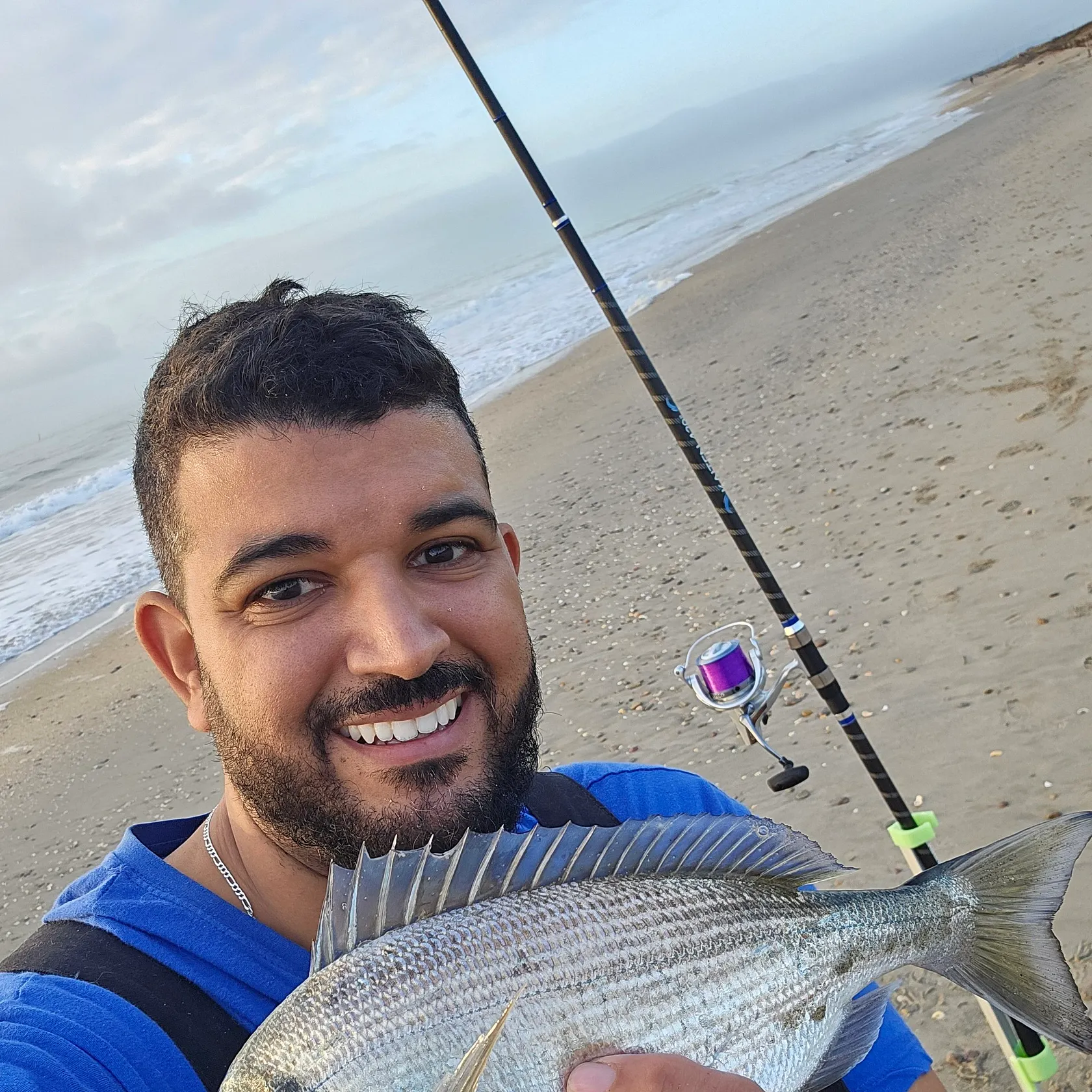 The most recent Gilthead seabream catches on Fishbrain