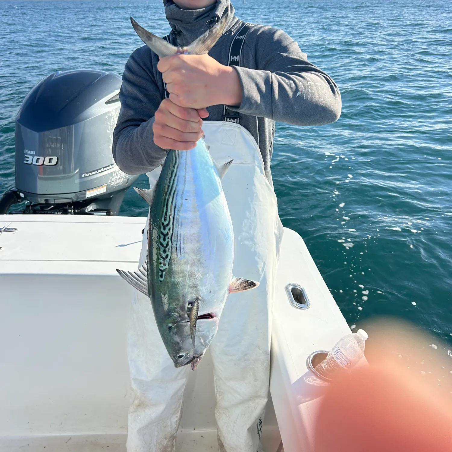 The most recent Little tunny catches on Fishbrain