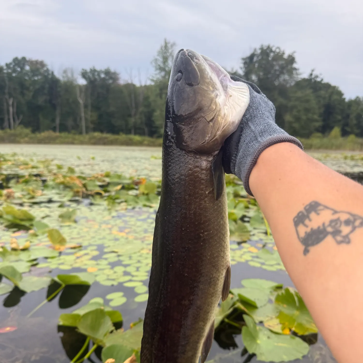 catch