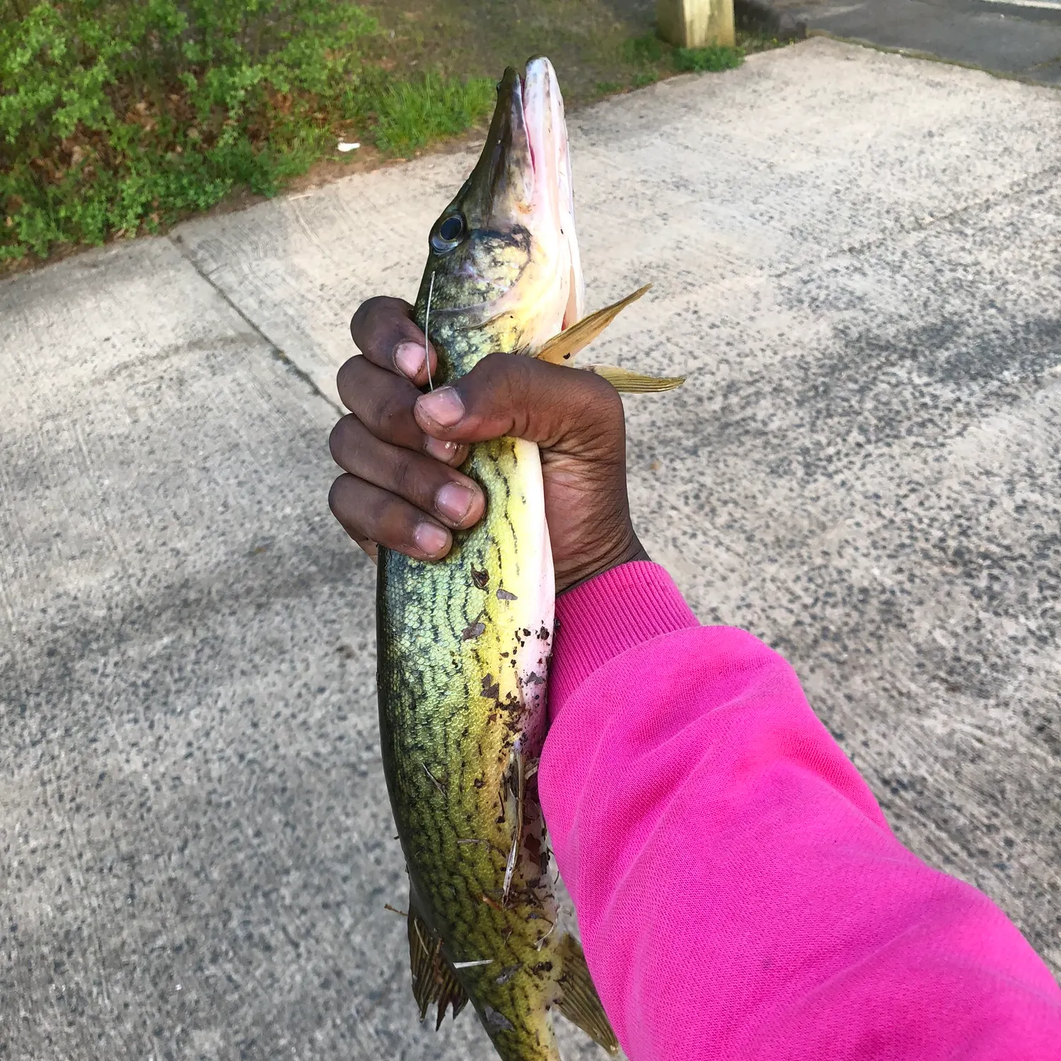 catch
