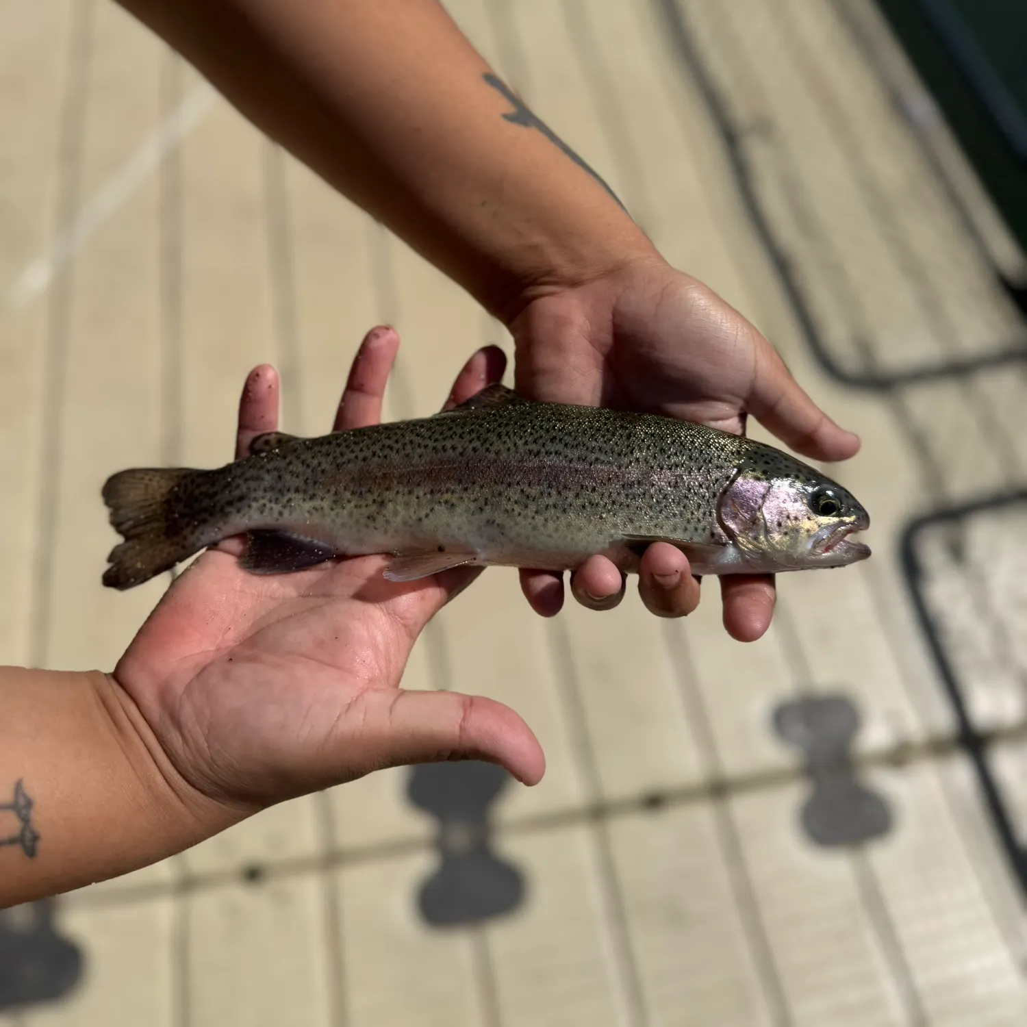 catch