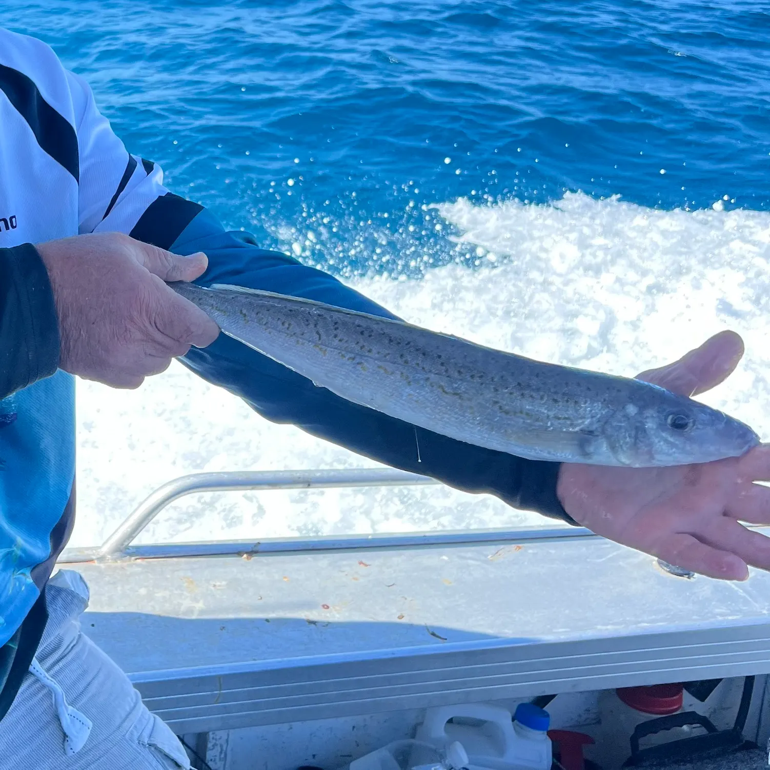 The most recent King George whiting catches on Fishbrain