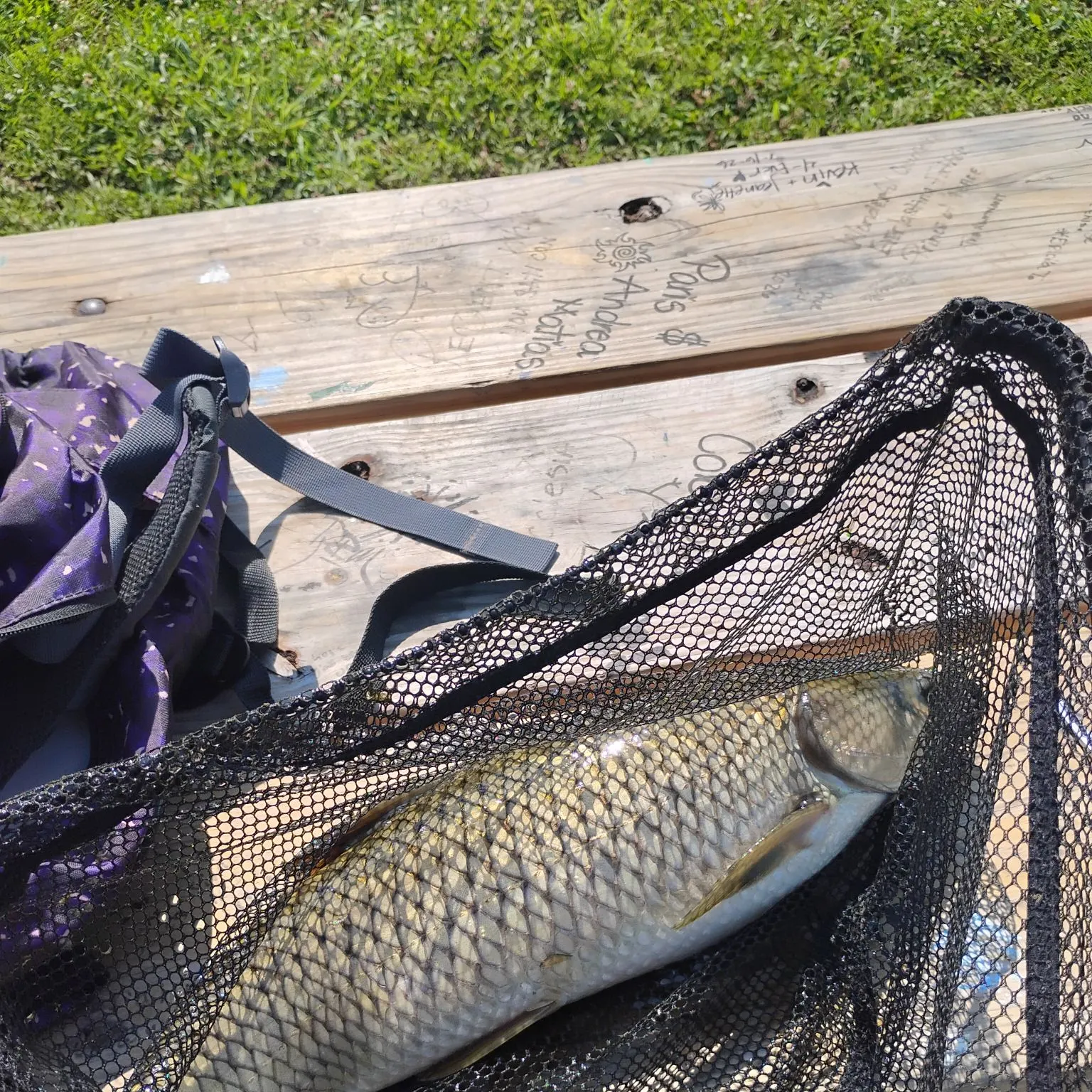 catch