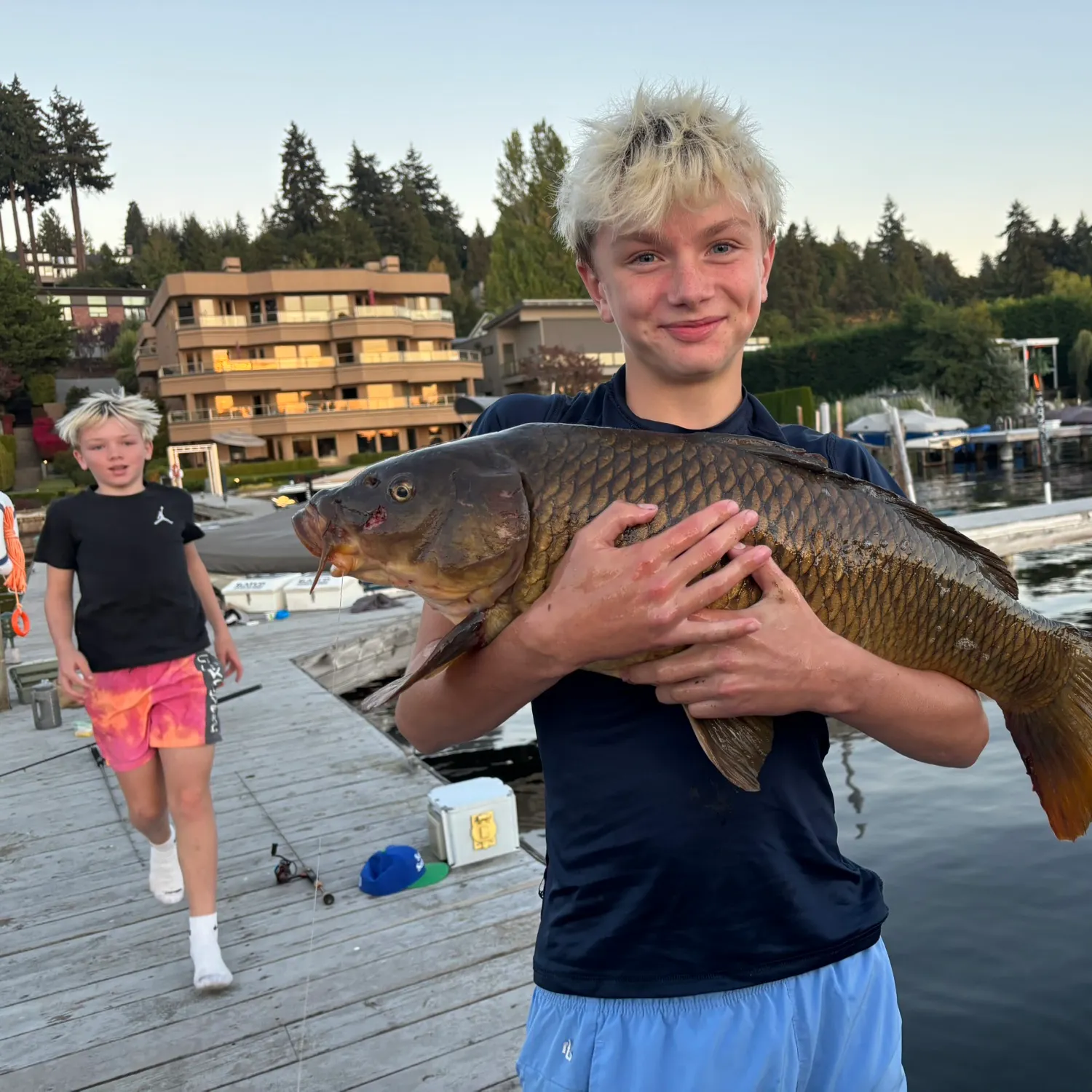 Common carp caught on Fishbrain