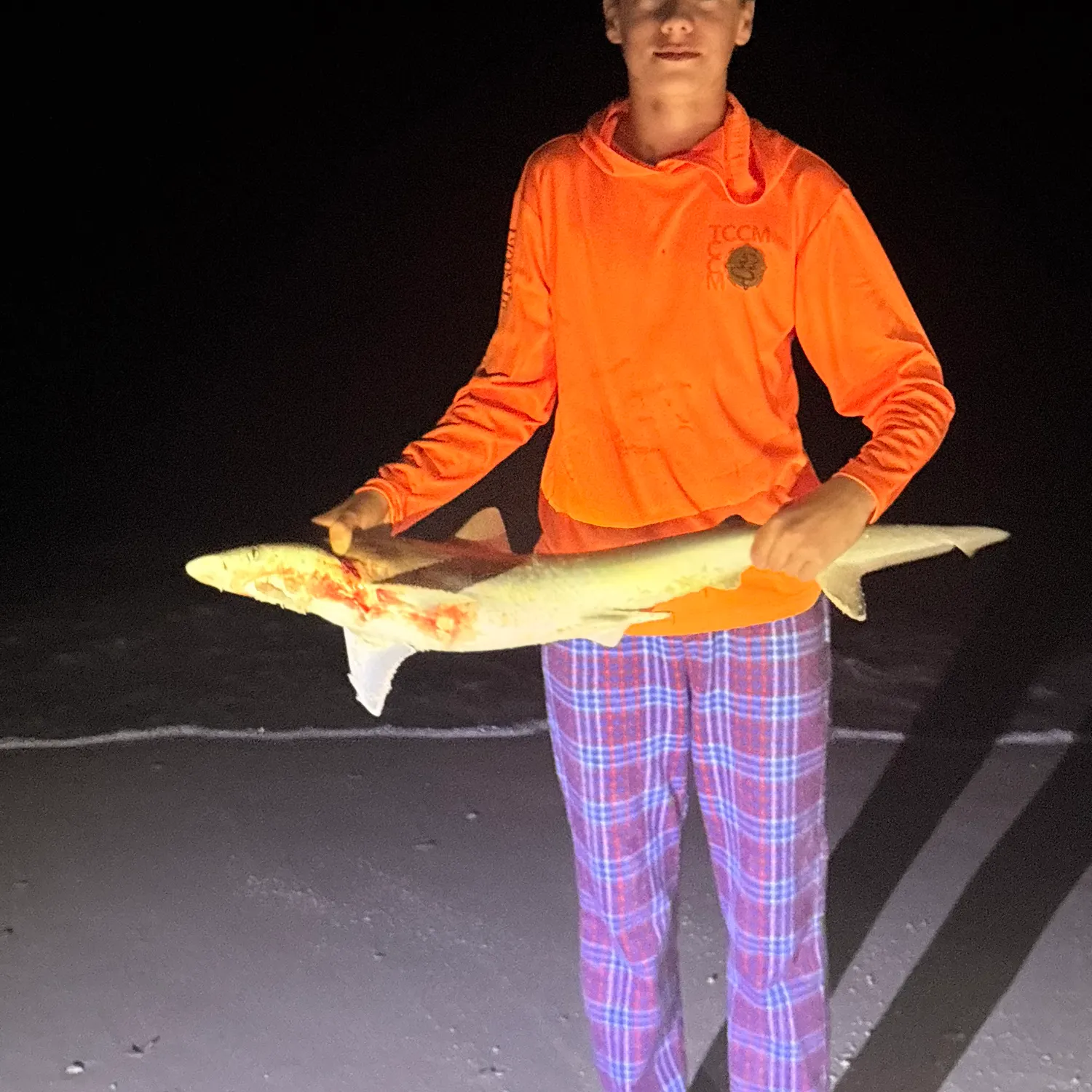 The most recent Sandbar shark catches on Fishbrain