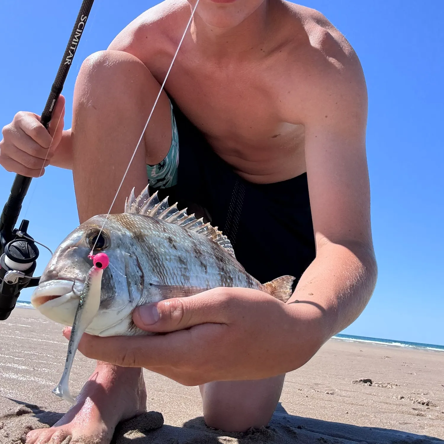 The most recent Pacific porgy catches on Fishbrain