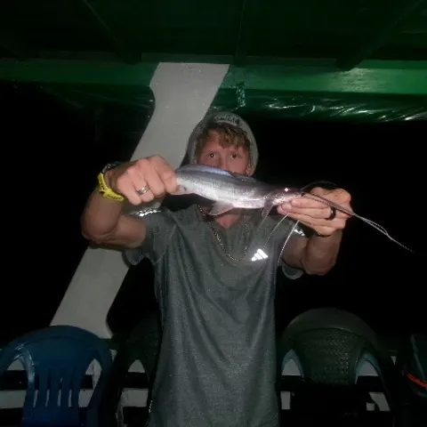 The most recent Pati catches on Fishbrain