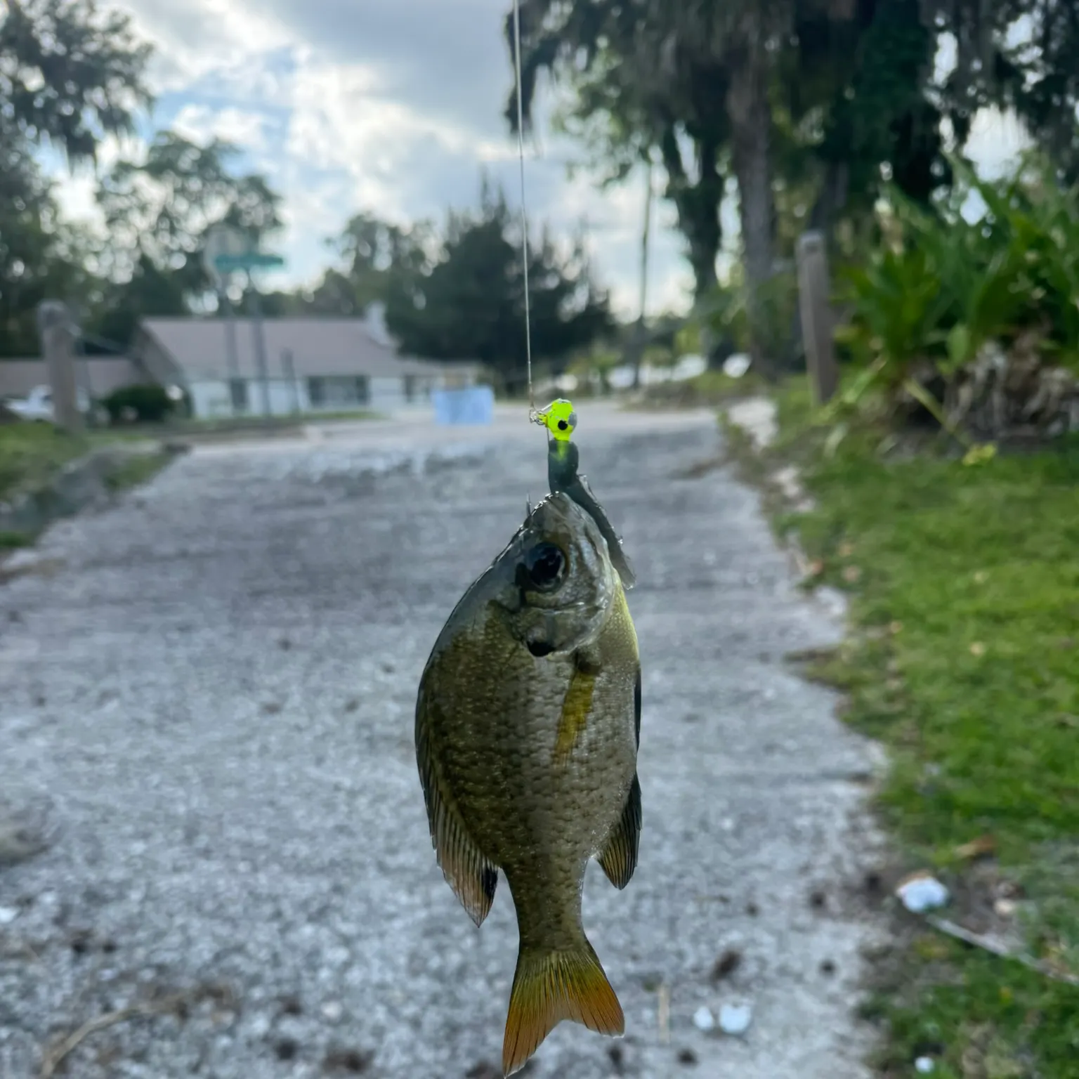 catch