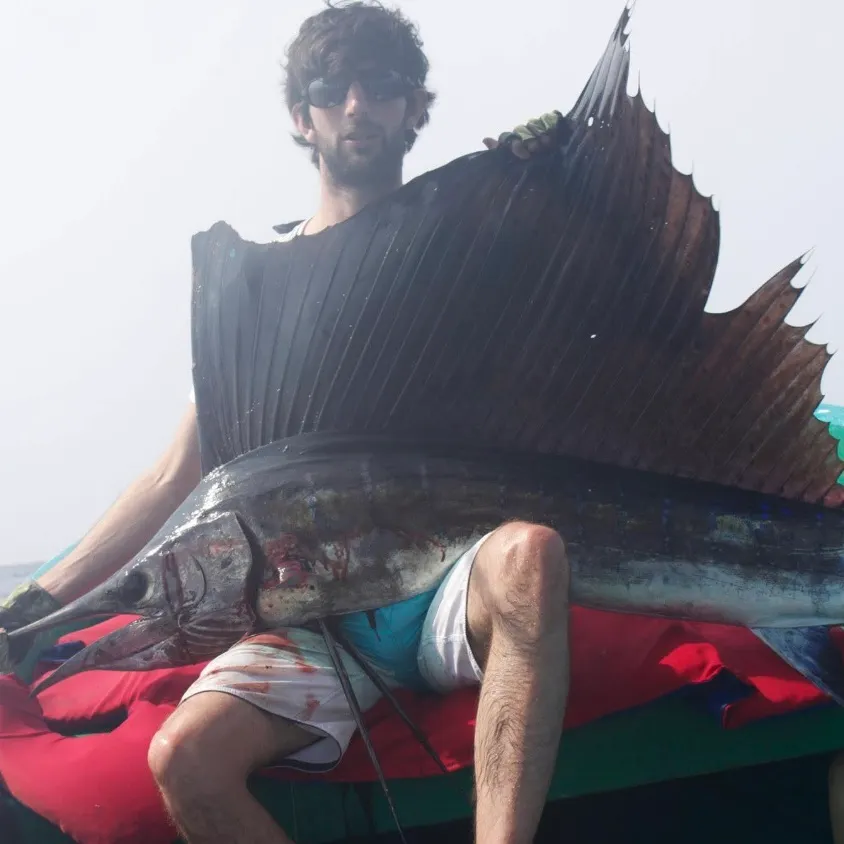 The most recent Indo-Pacific sailfish catches on Fishbrain