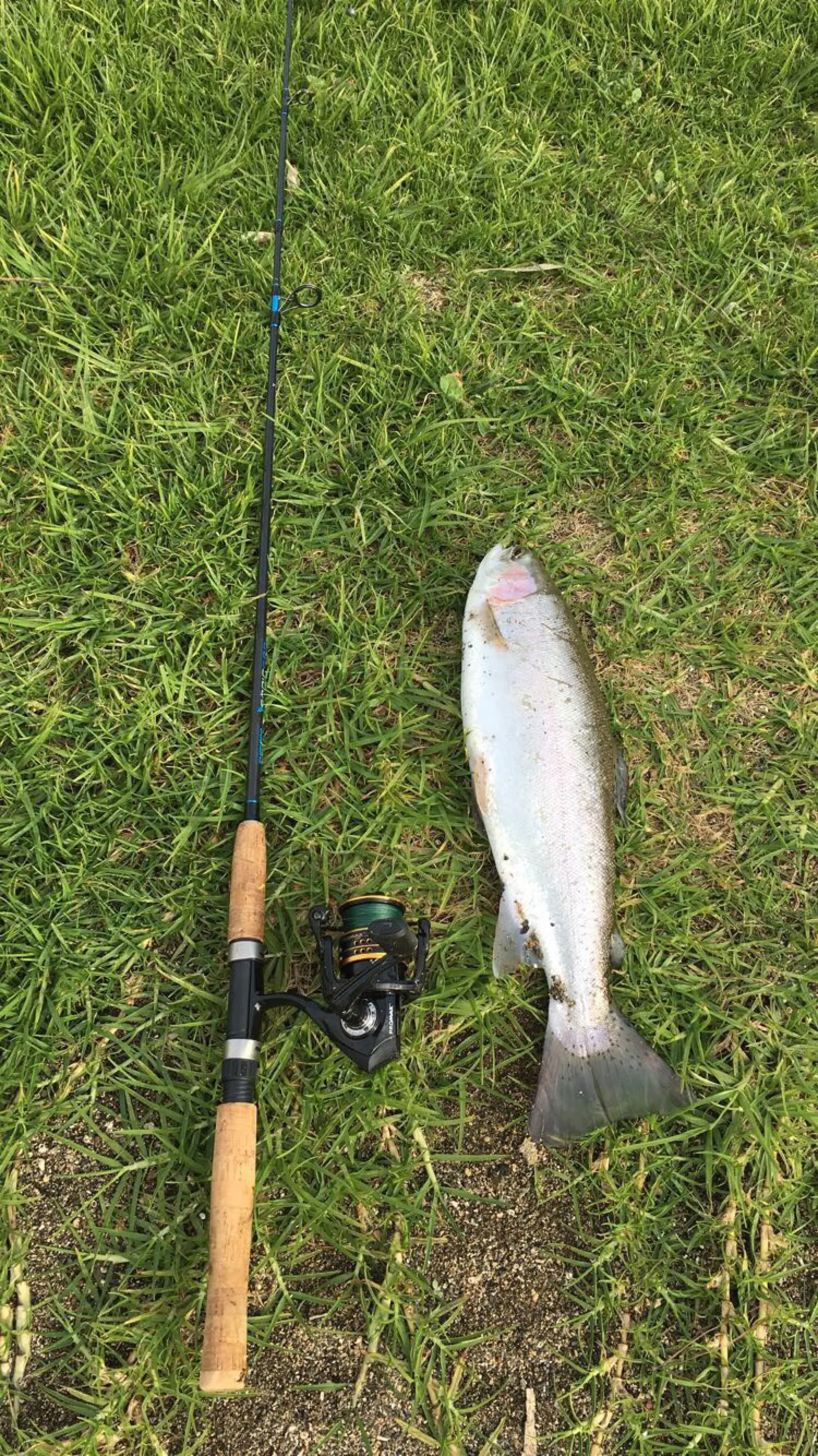 Post image from pomeara