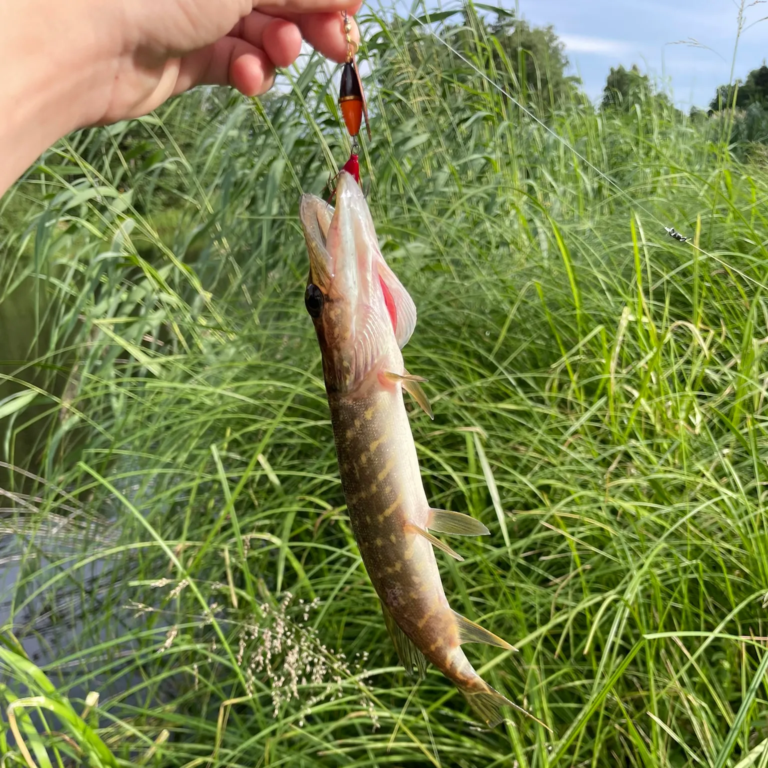 catch