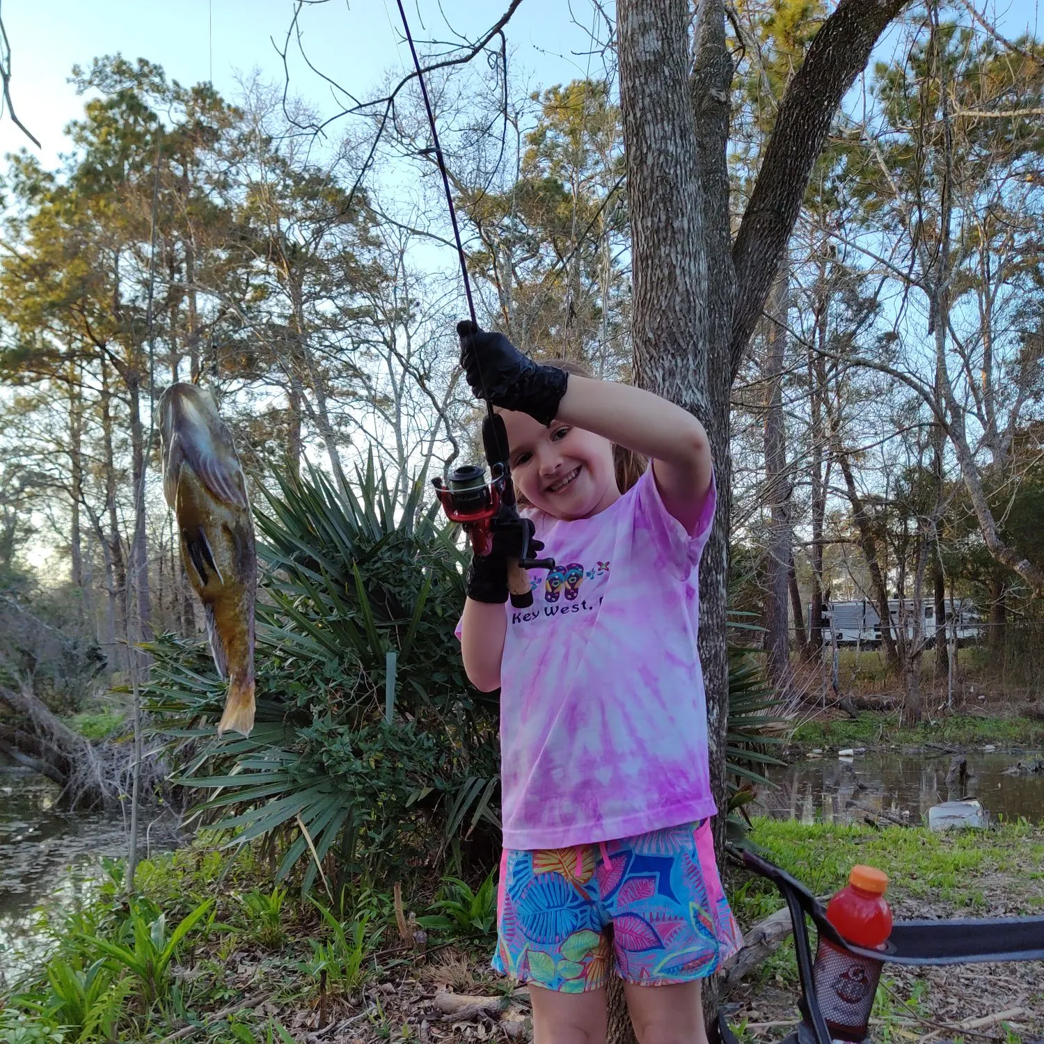 The most recent Warmouth catches on Fishbrain