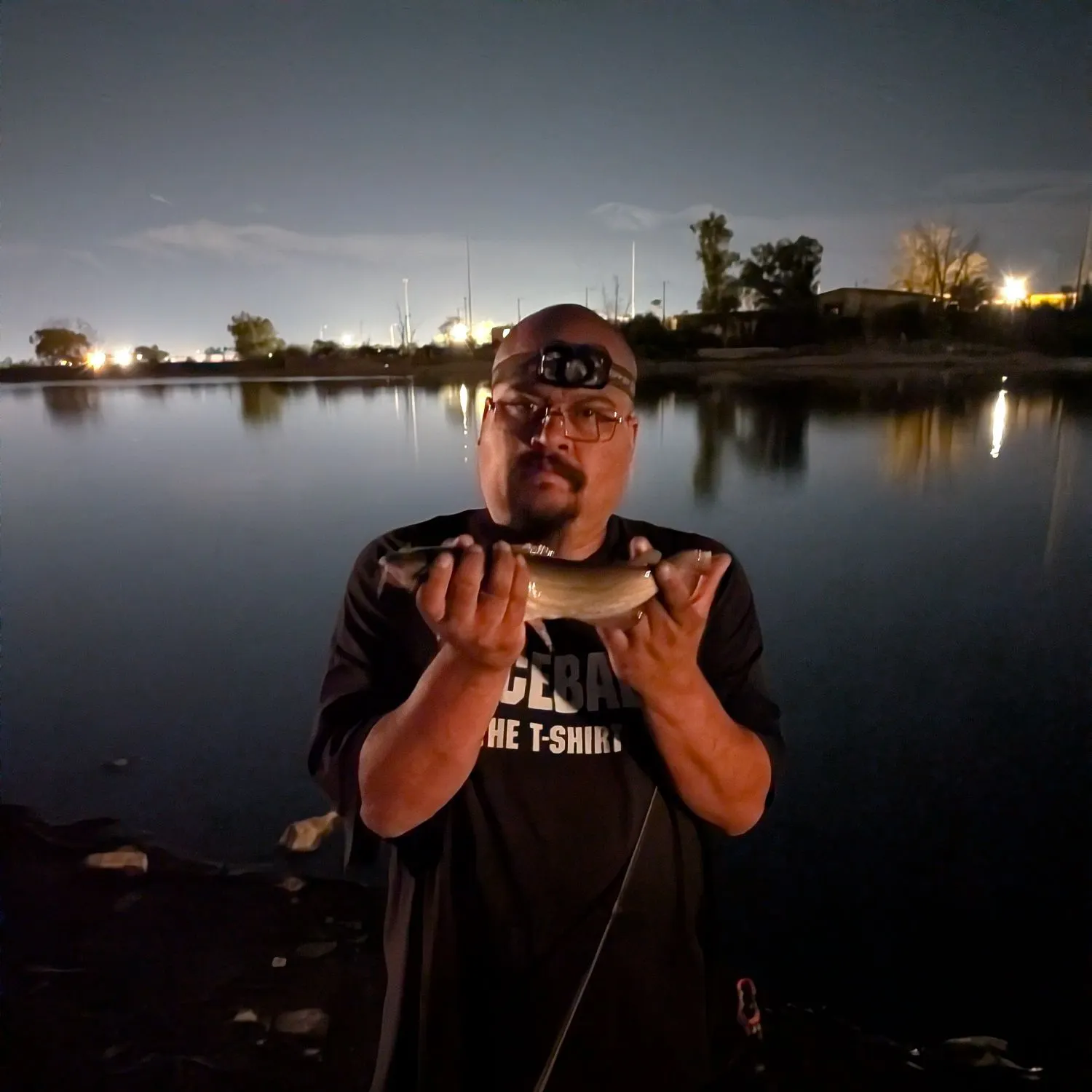 Channel catfish caught on Fishbrain