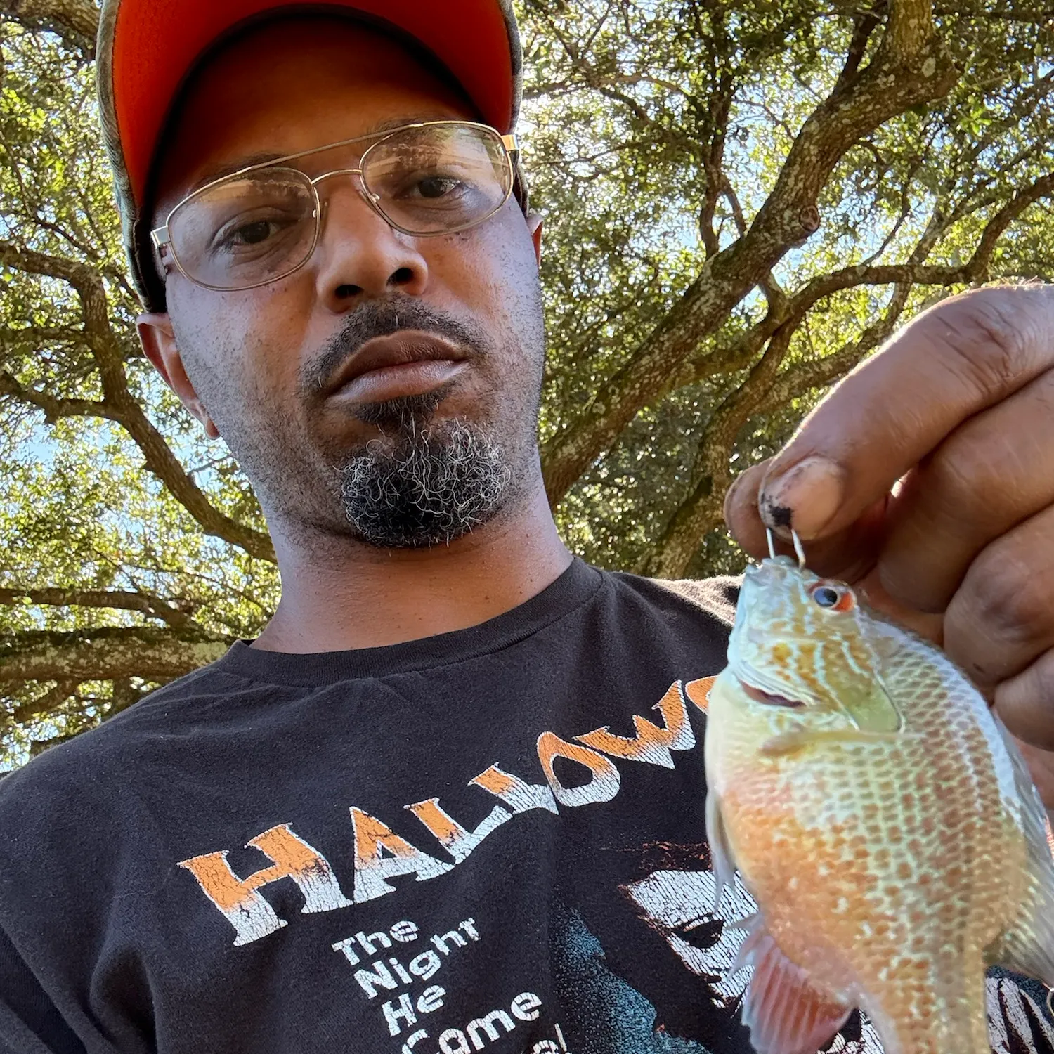 Longear sunfish caught on Fishbrain