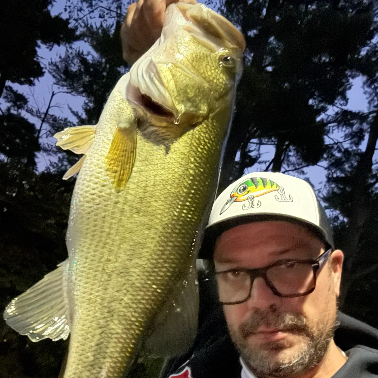 Largemouth bass caught on Fishbrain