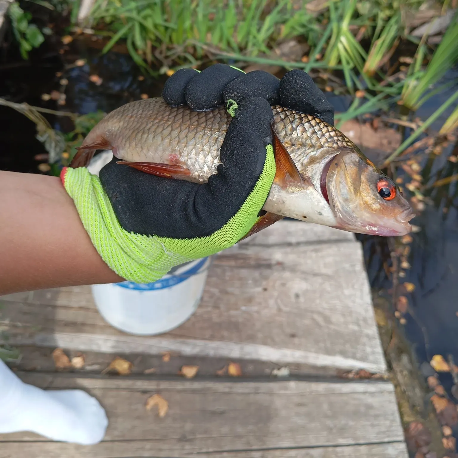 catch