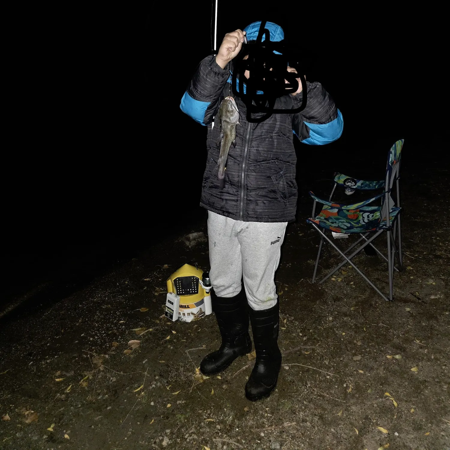 Yellow bullhead caught on Fishbrain