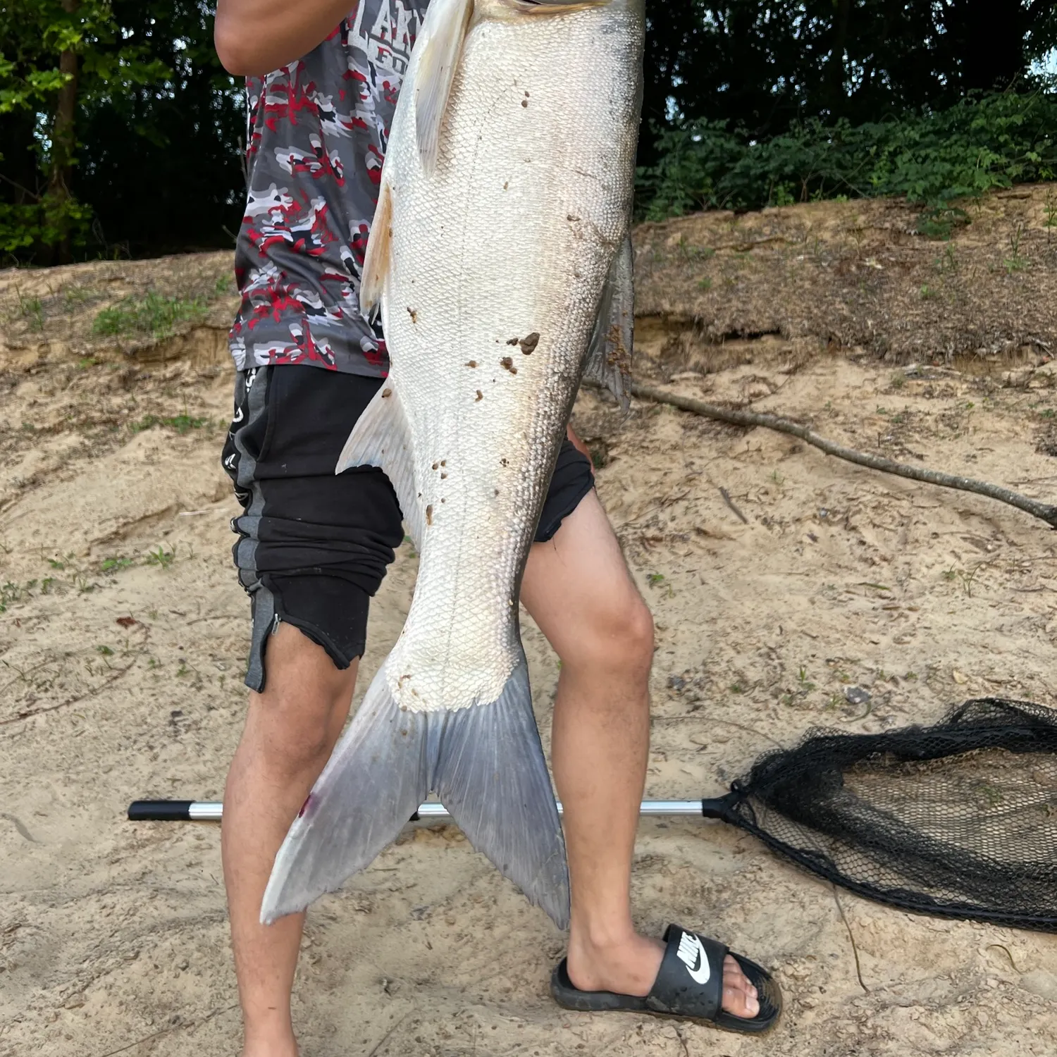The most recent Silver carp catches on Fishbrain